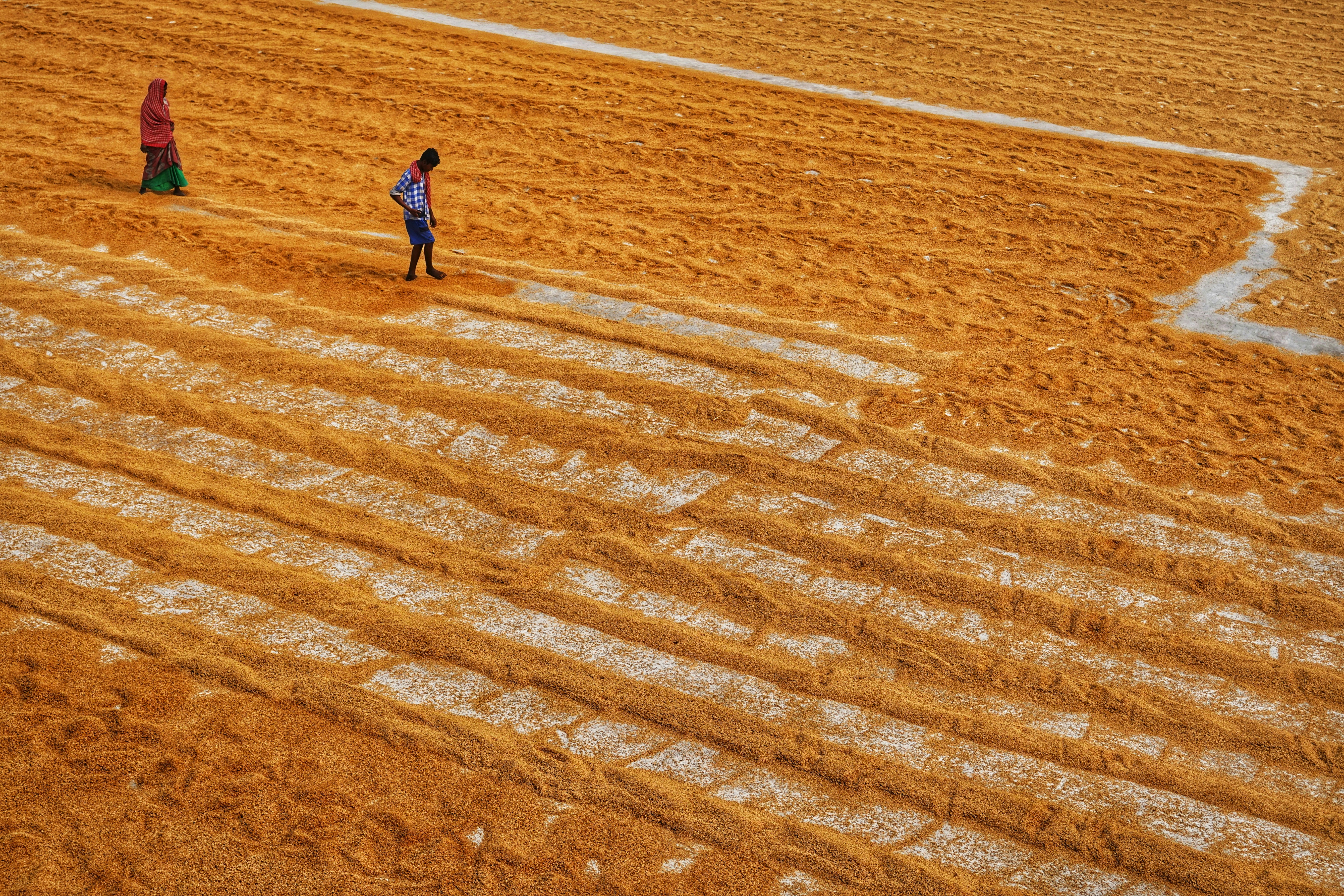 Photo by dibakar16roy