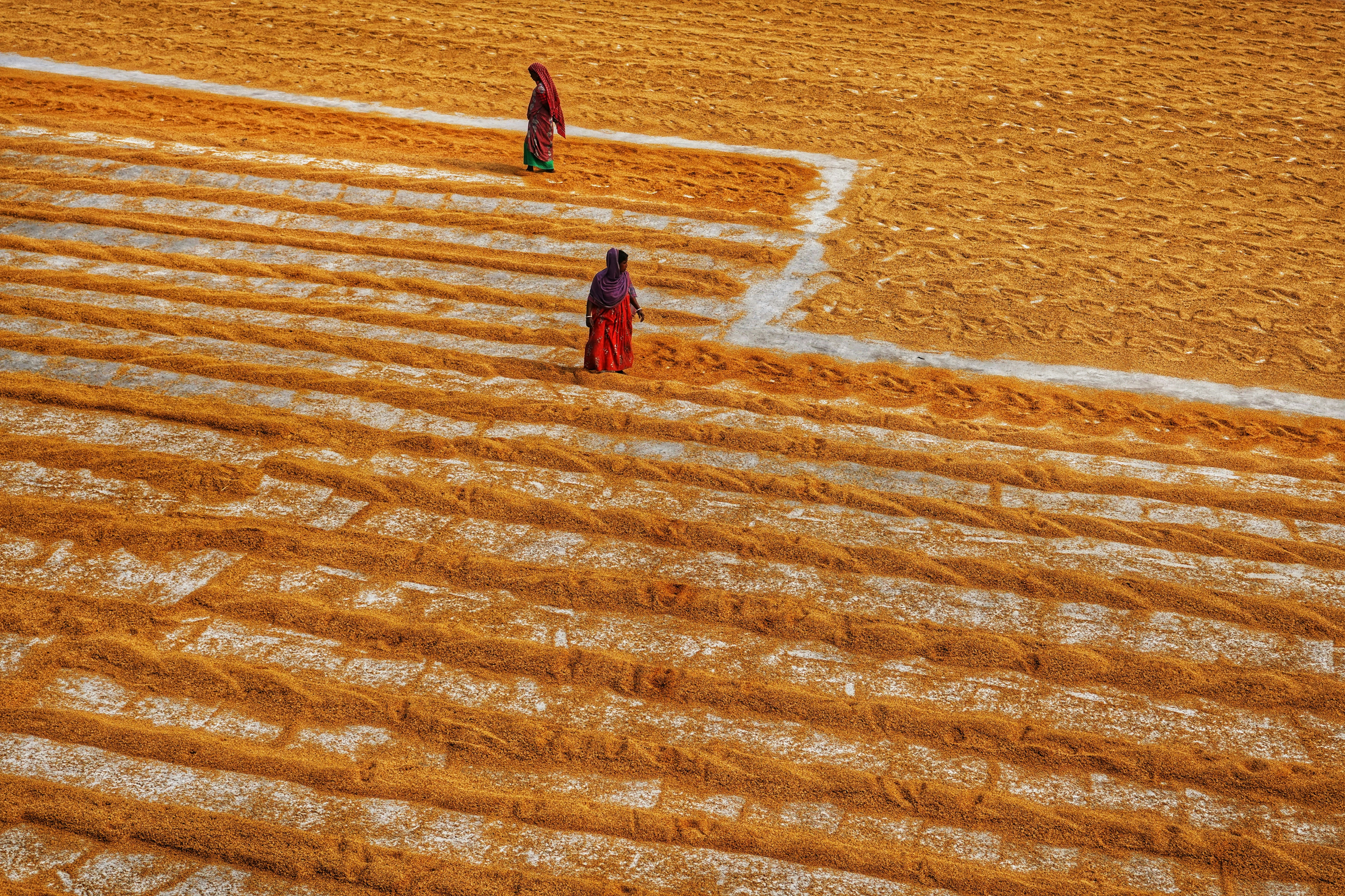 Photo by dibakar16roy