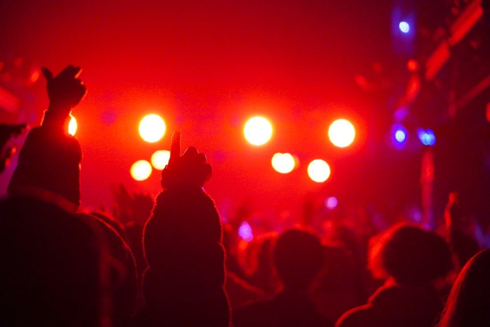 um grupo de pessoas em um concerto