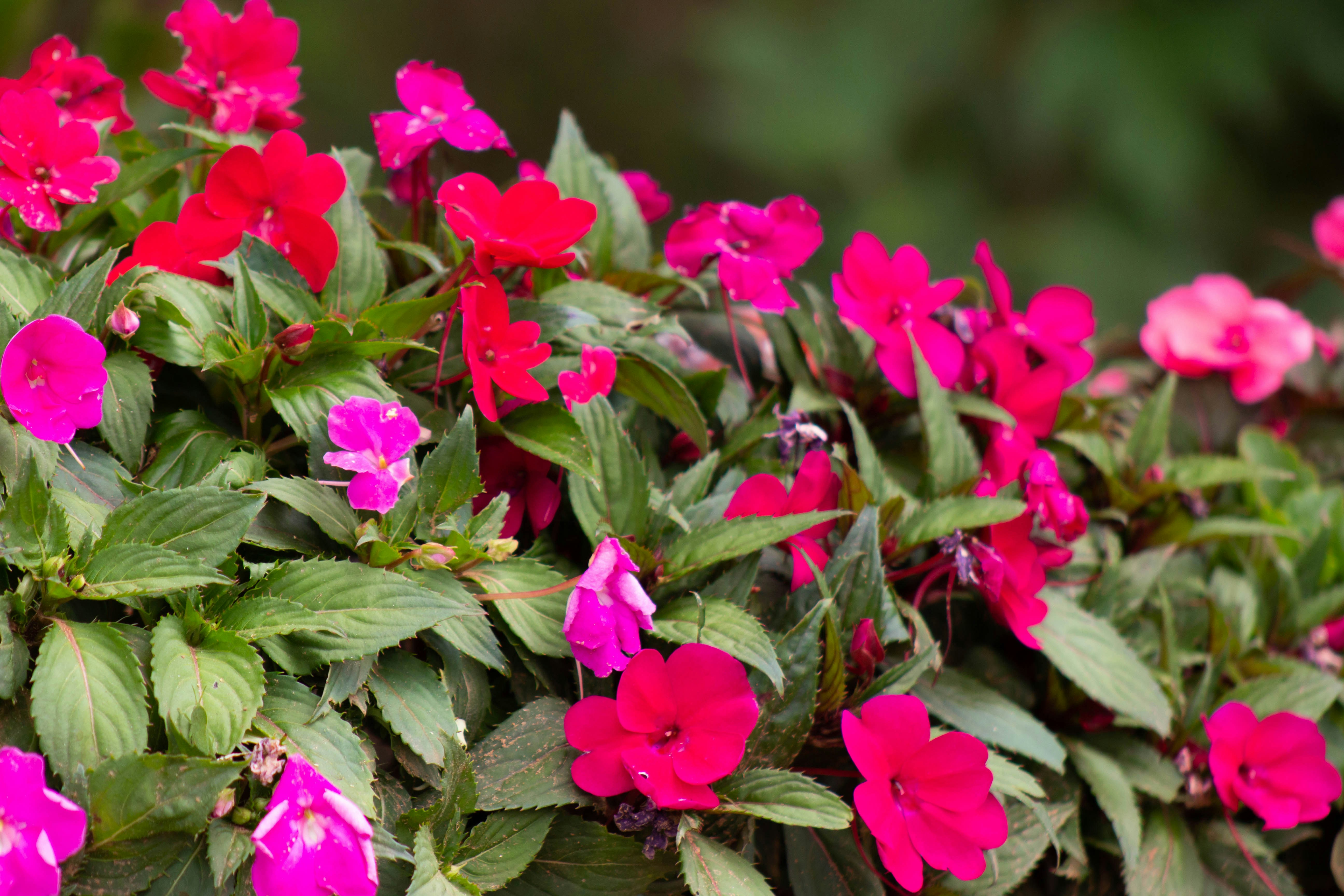 Photo by amywithacamera