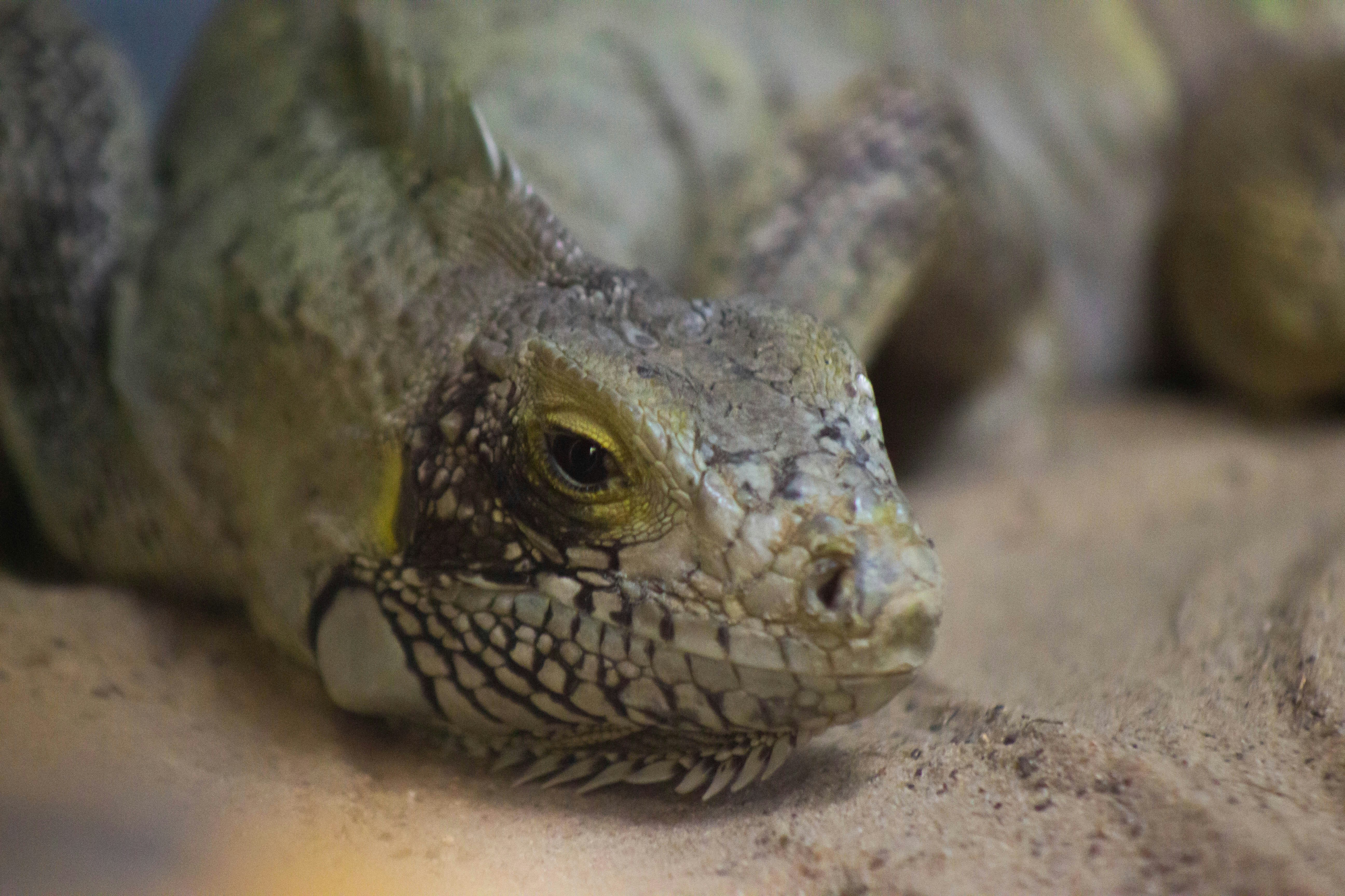 Photo by amywithacamera