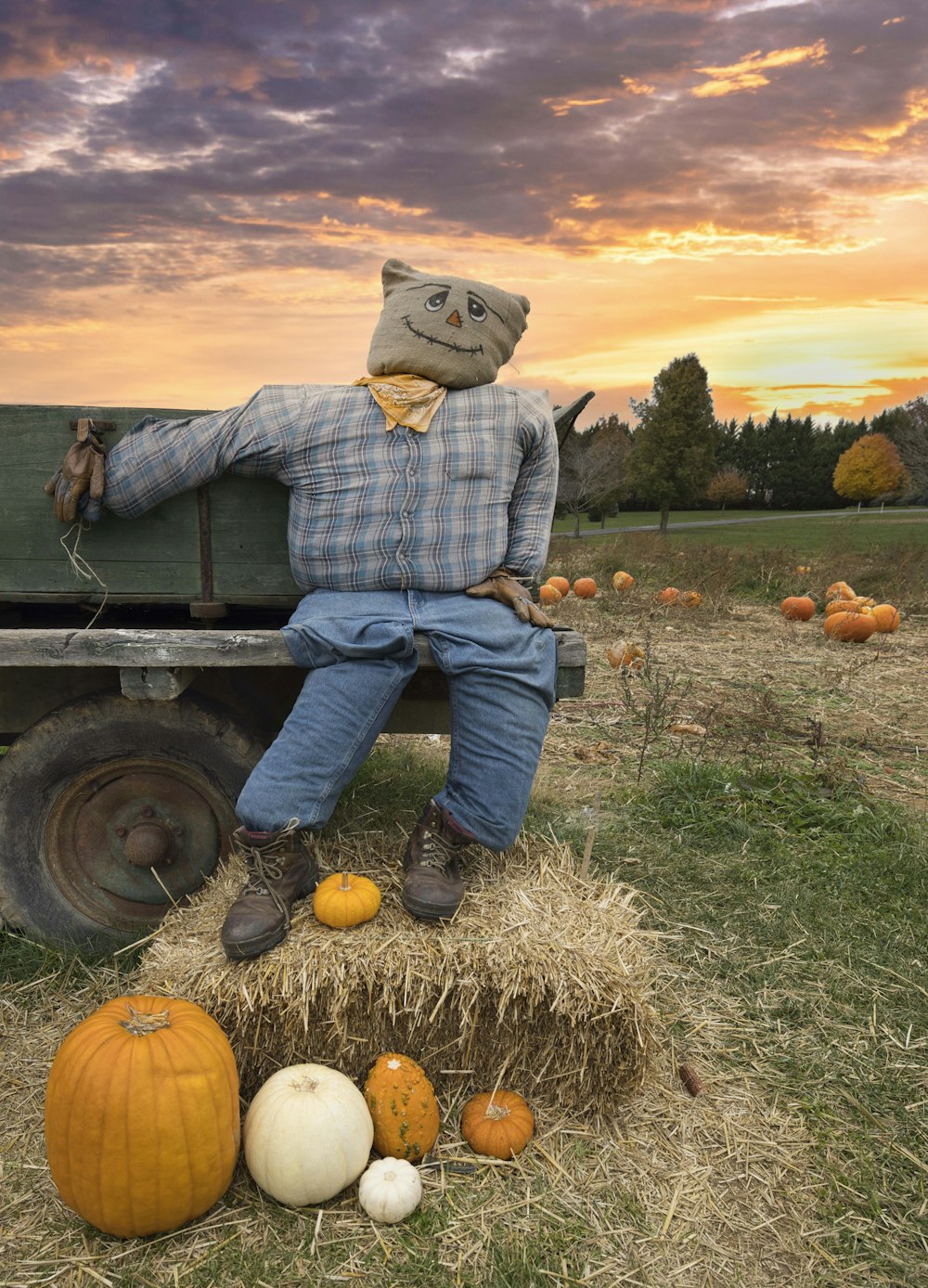 a person sitting on a tractor in a field with pumpkins