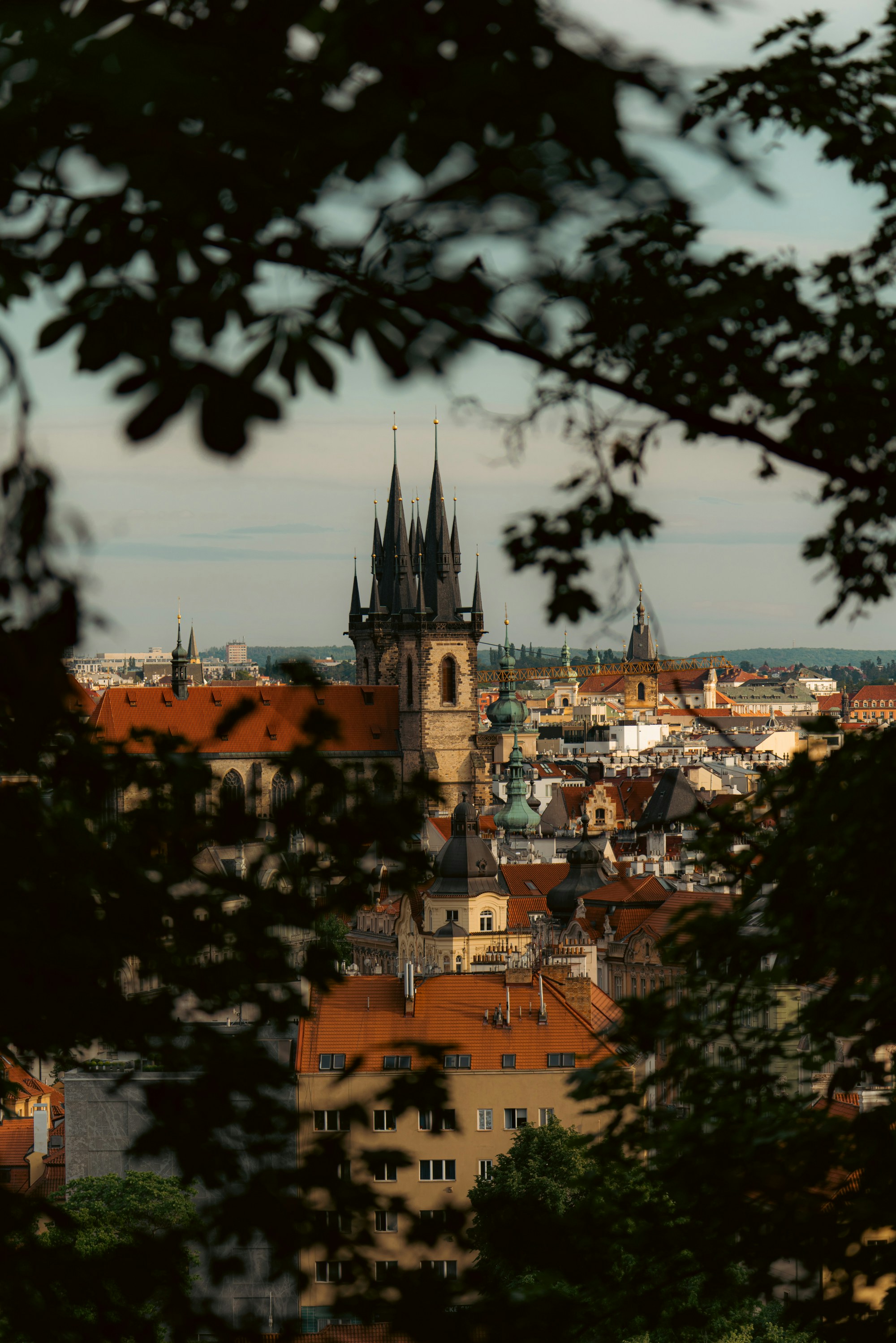 Photo by mikhail_mamaev