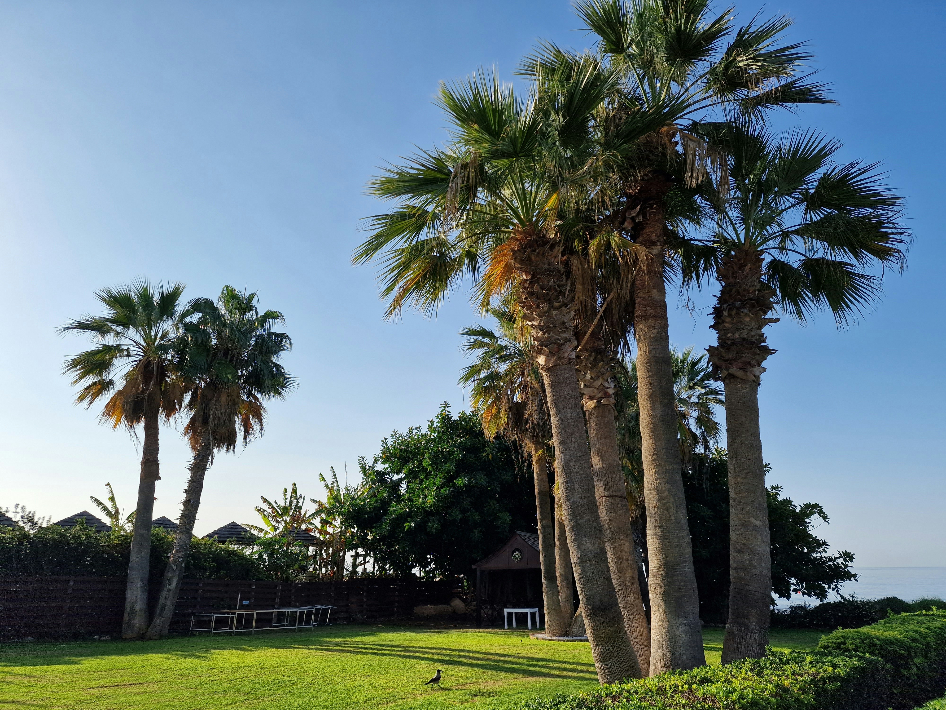 Photo by anastasius1985