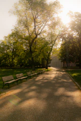 A sunlit garden pathway lined with blooming flowers and rustic wooden benches.