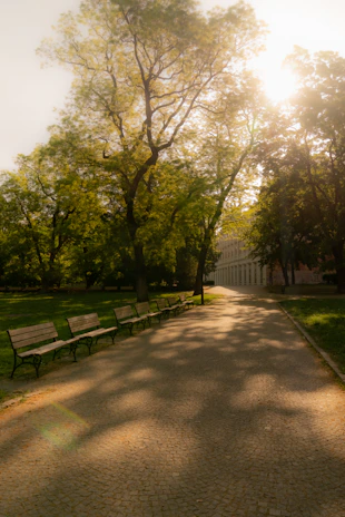 A sunlit garden pathway lined with blooming flowers and rustic wooden benches.