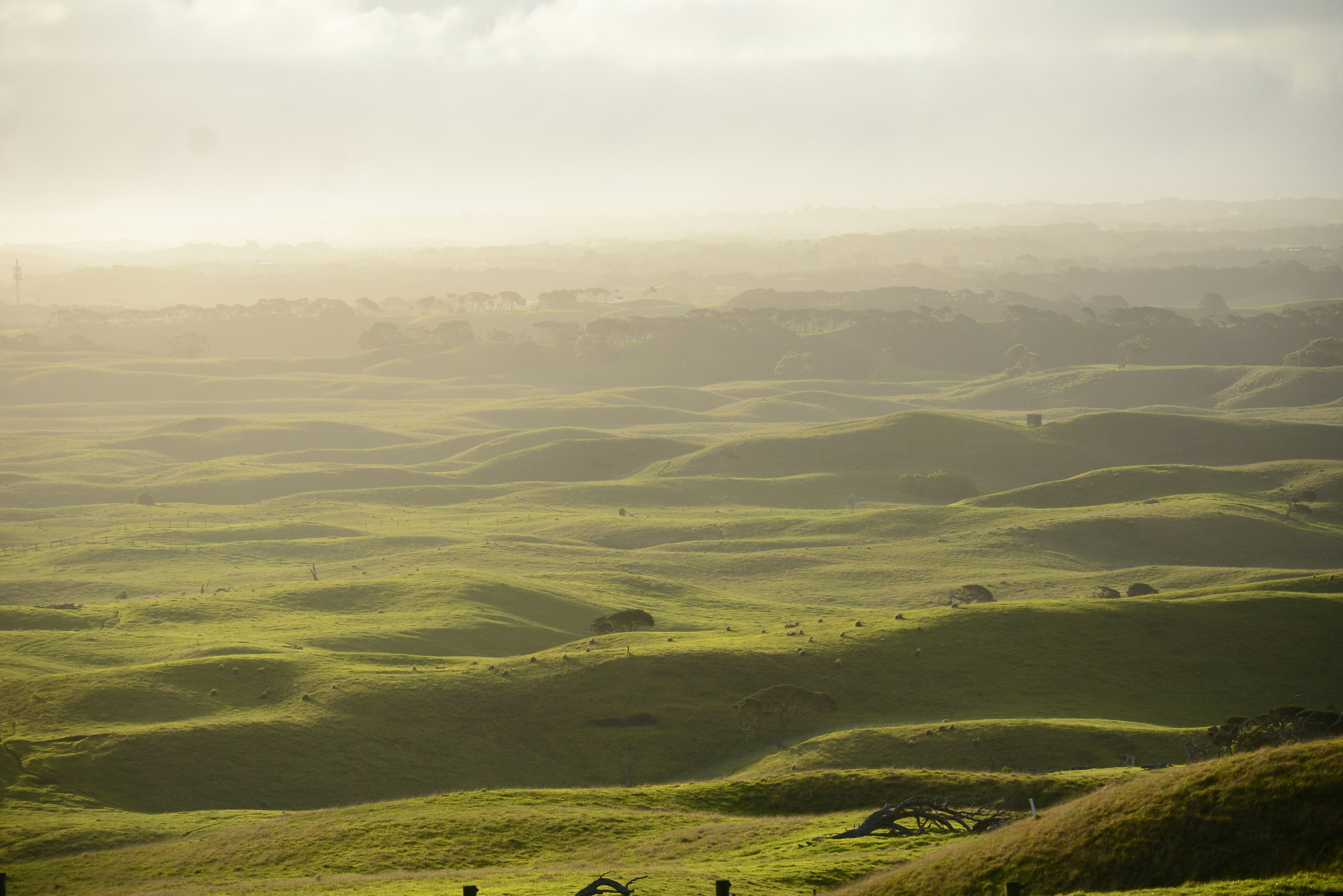 Photo by richard7seals