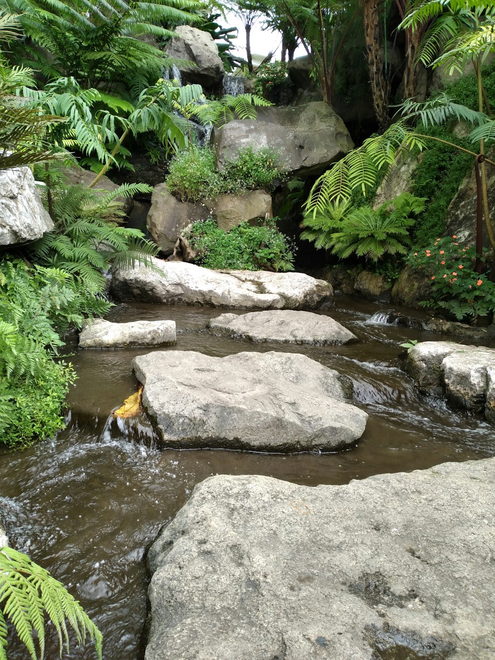 a small waterfall in a forest