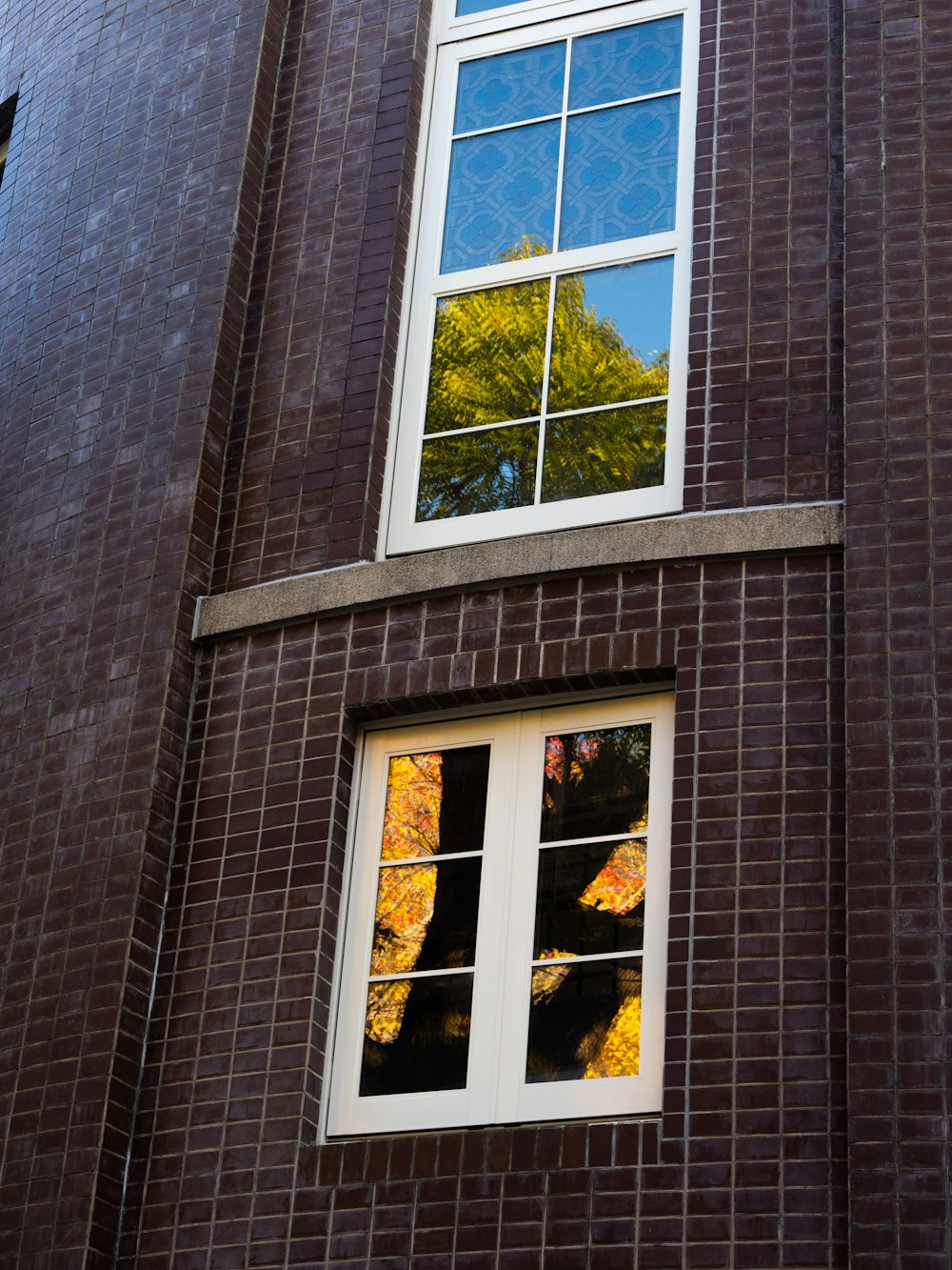 a couple of windows with flowers in them