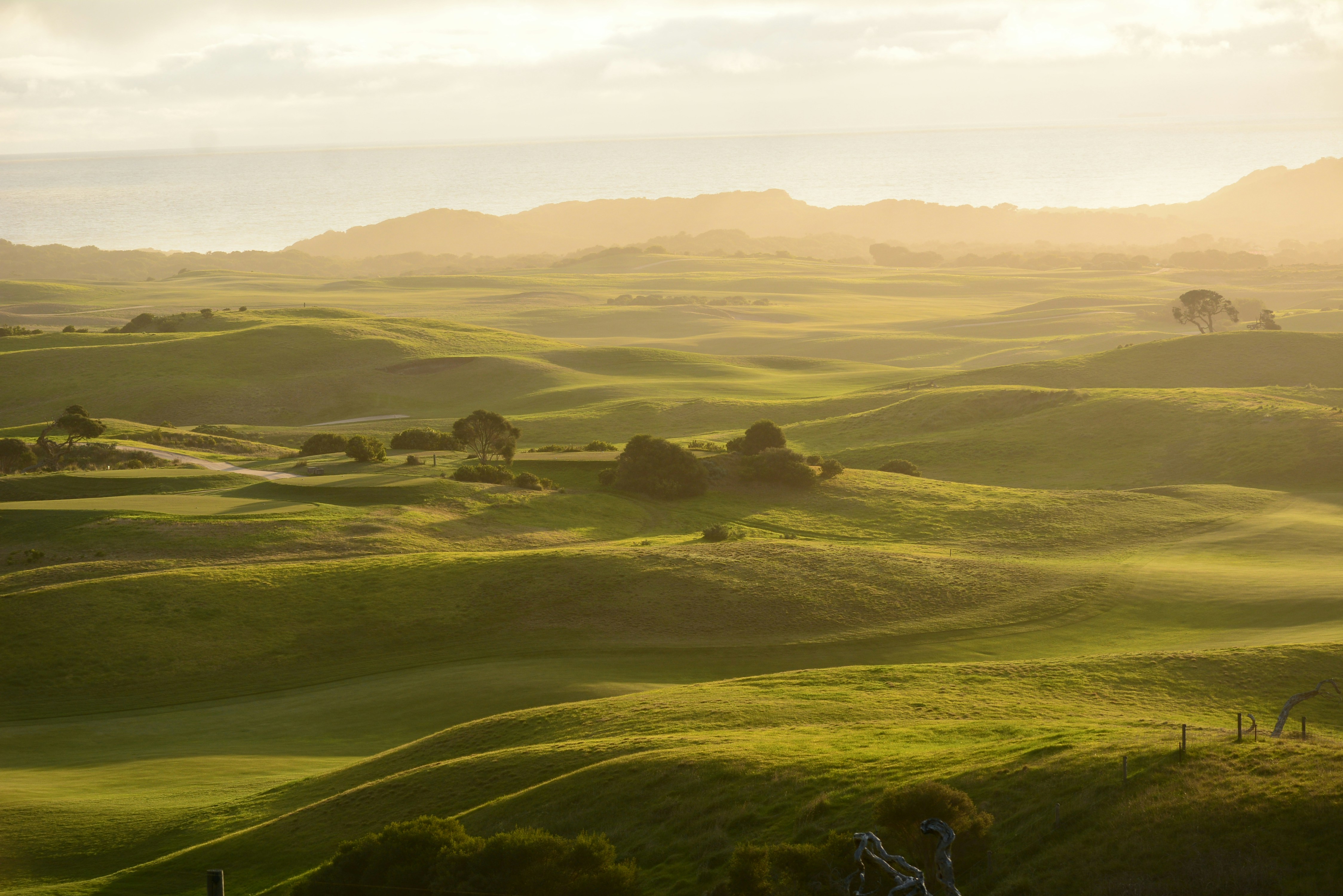 Photo by richard7seals