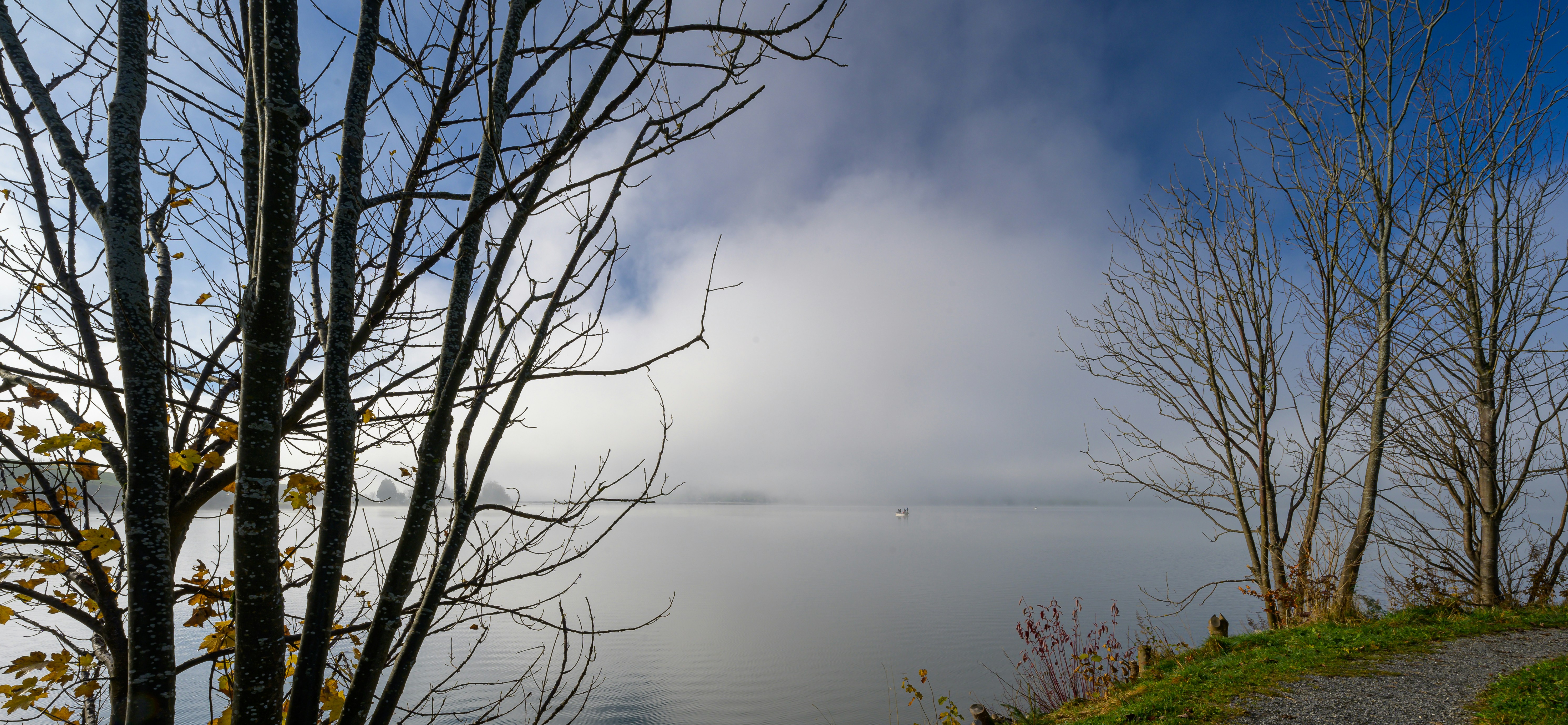 Photo by hans_leuzinger