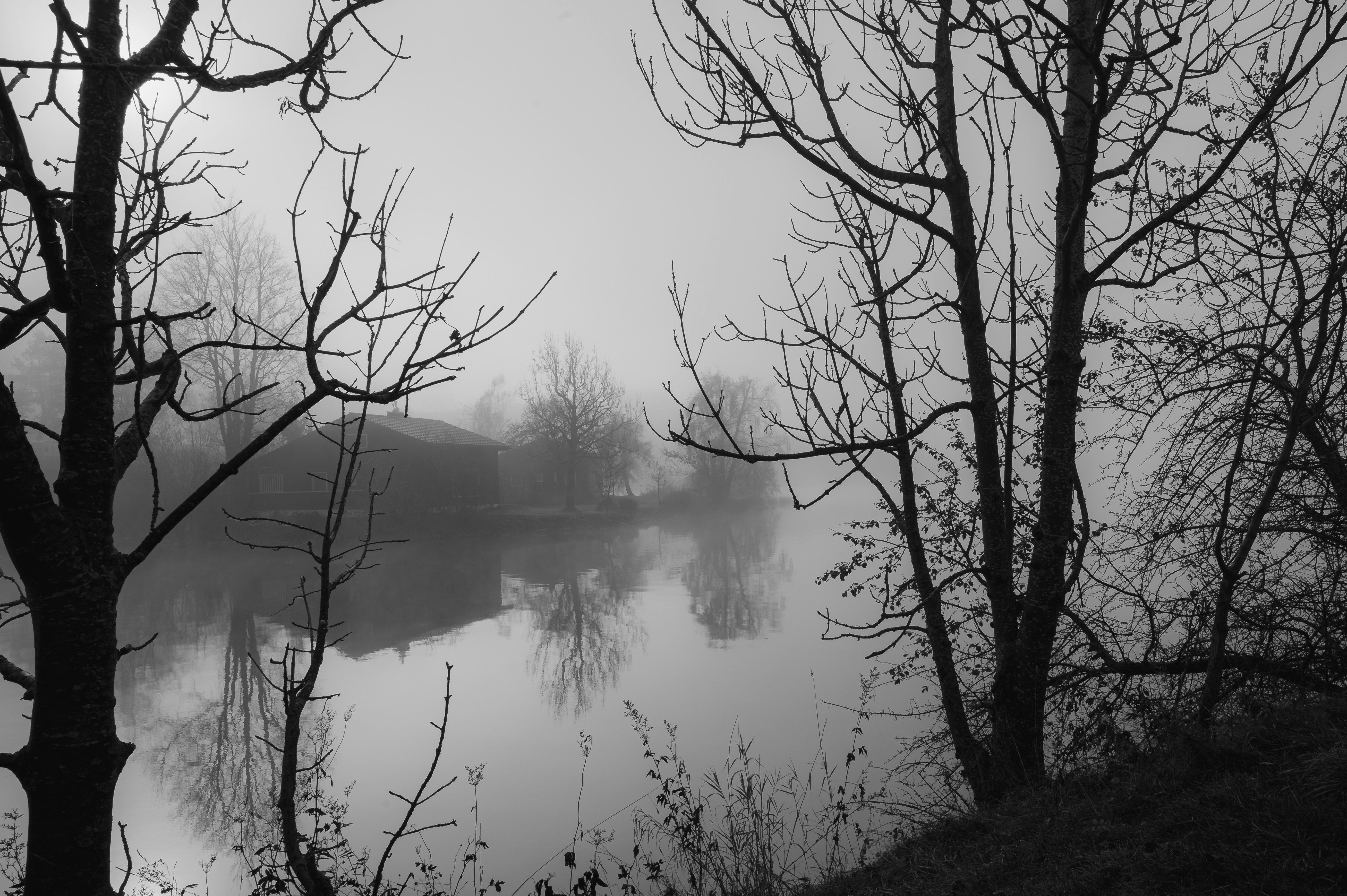 Photo by hans_leuzinger