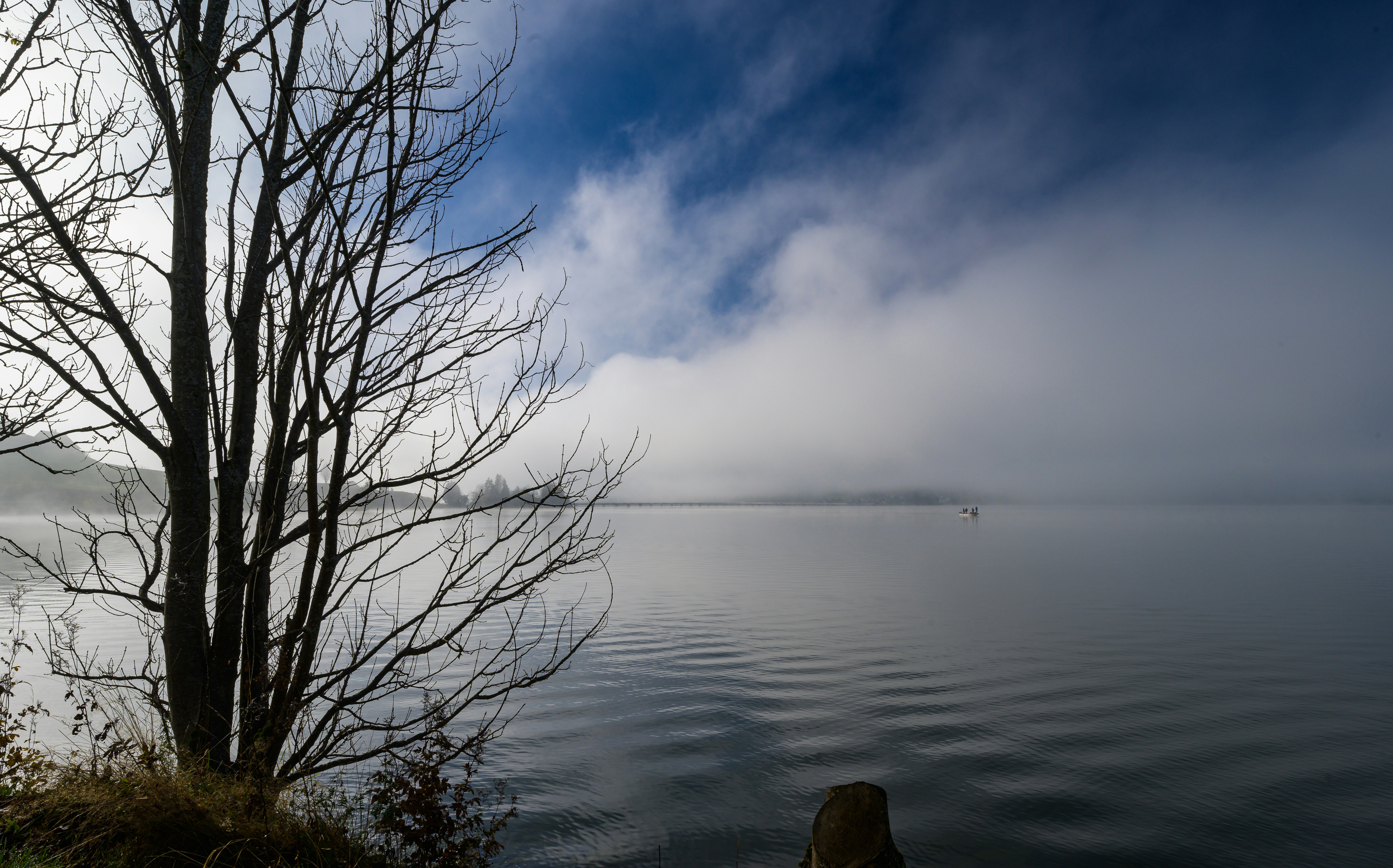 Photo by hans_leuzinger