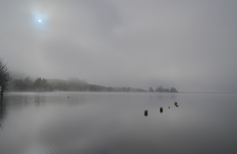 a body of water with trees and fog around it