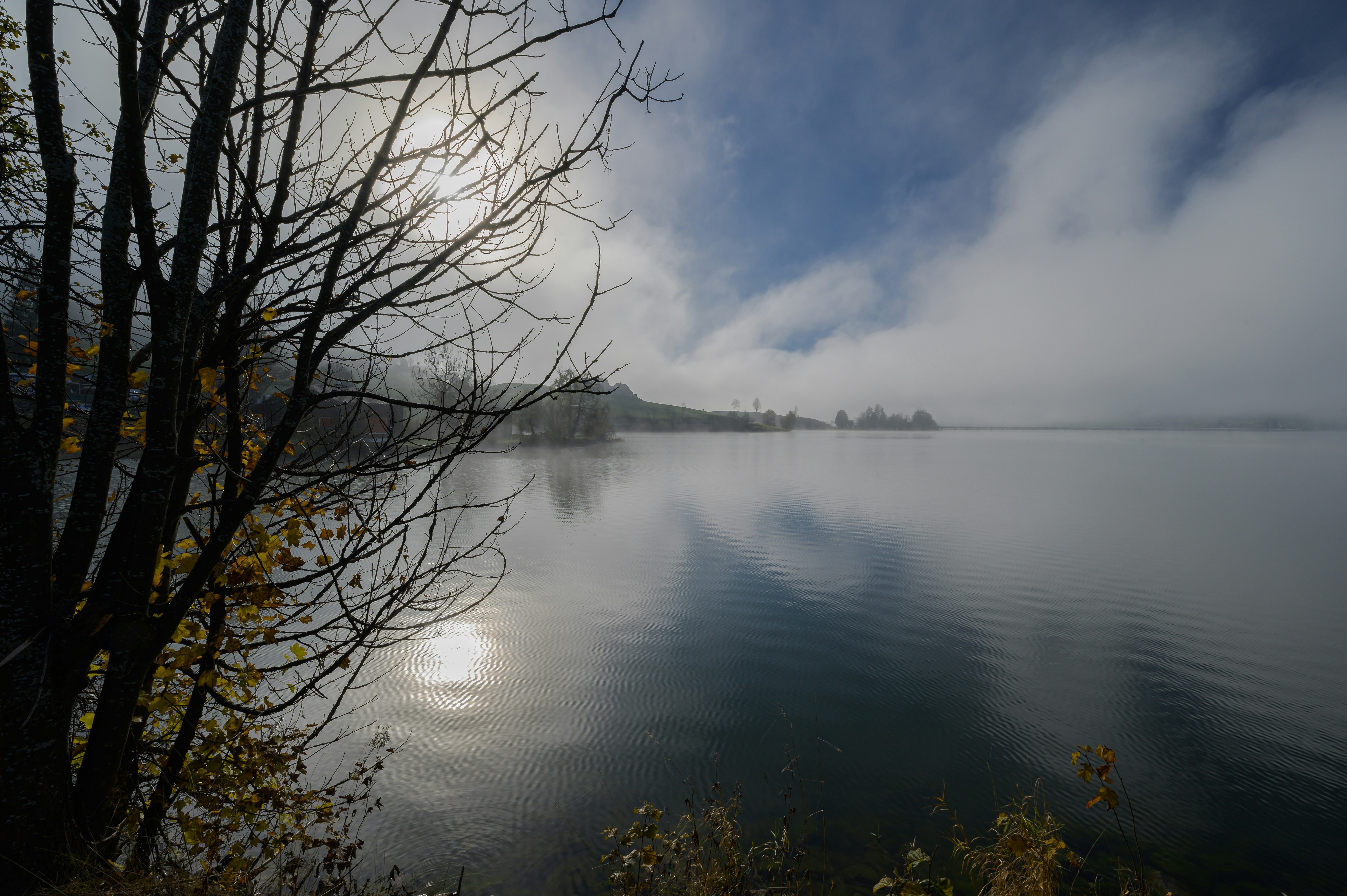 Photo by hans_leuzinger