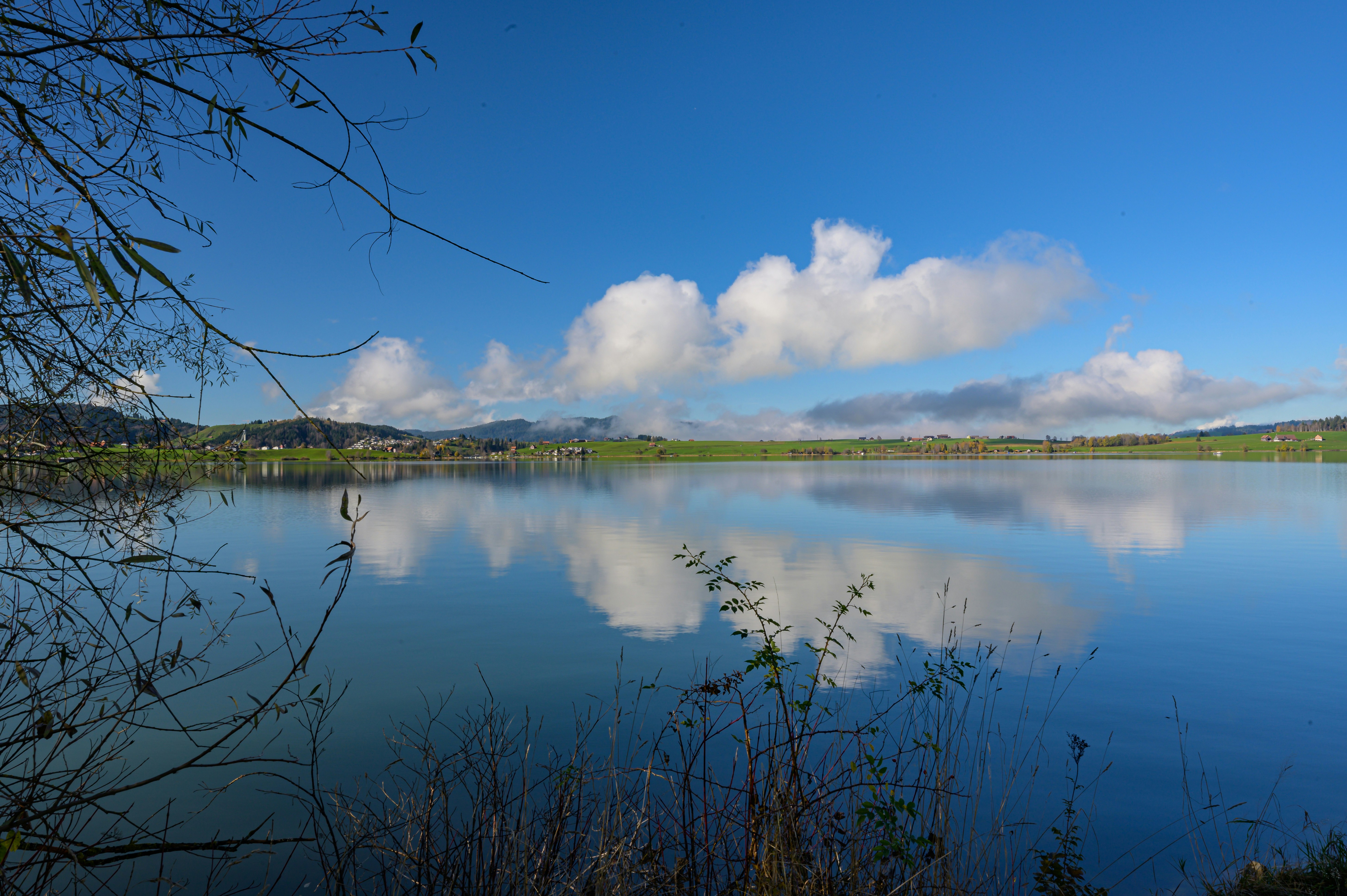 Photo by hans_leuzinger