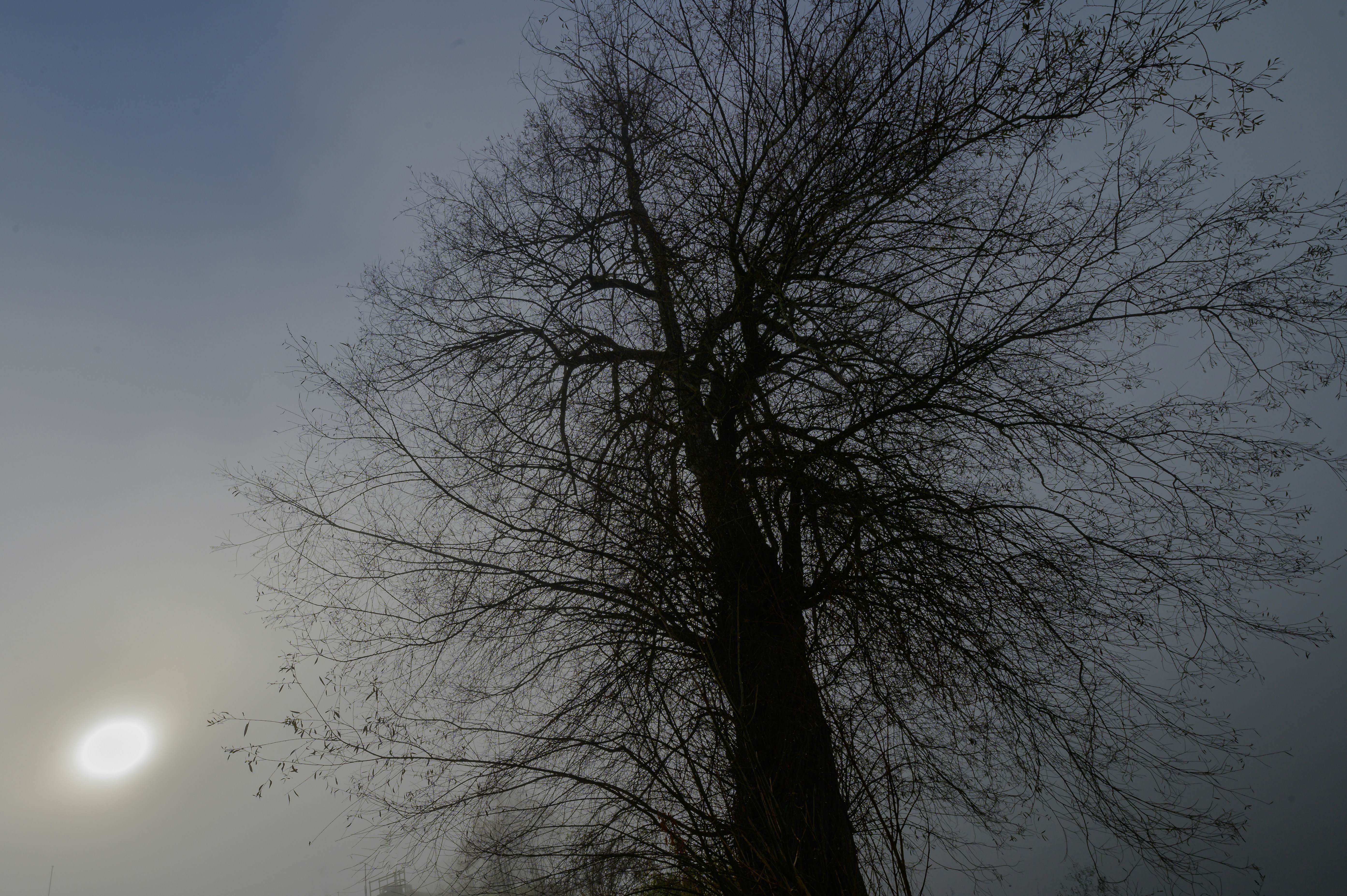 Photo by hans_leuzinger