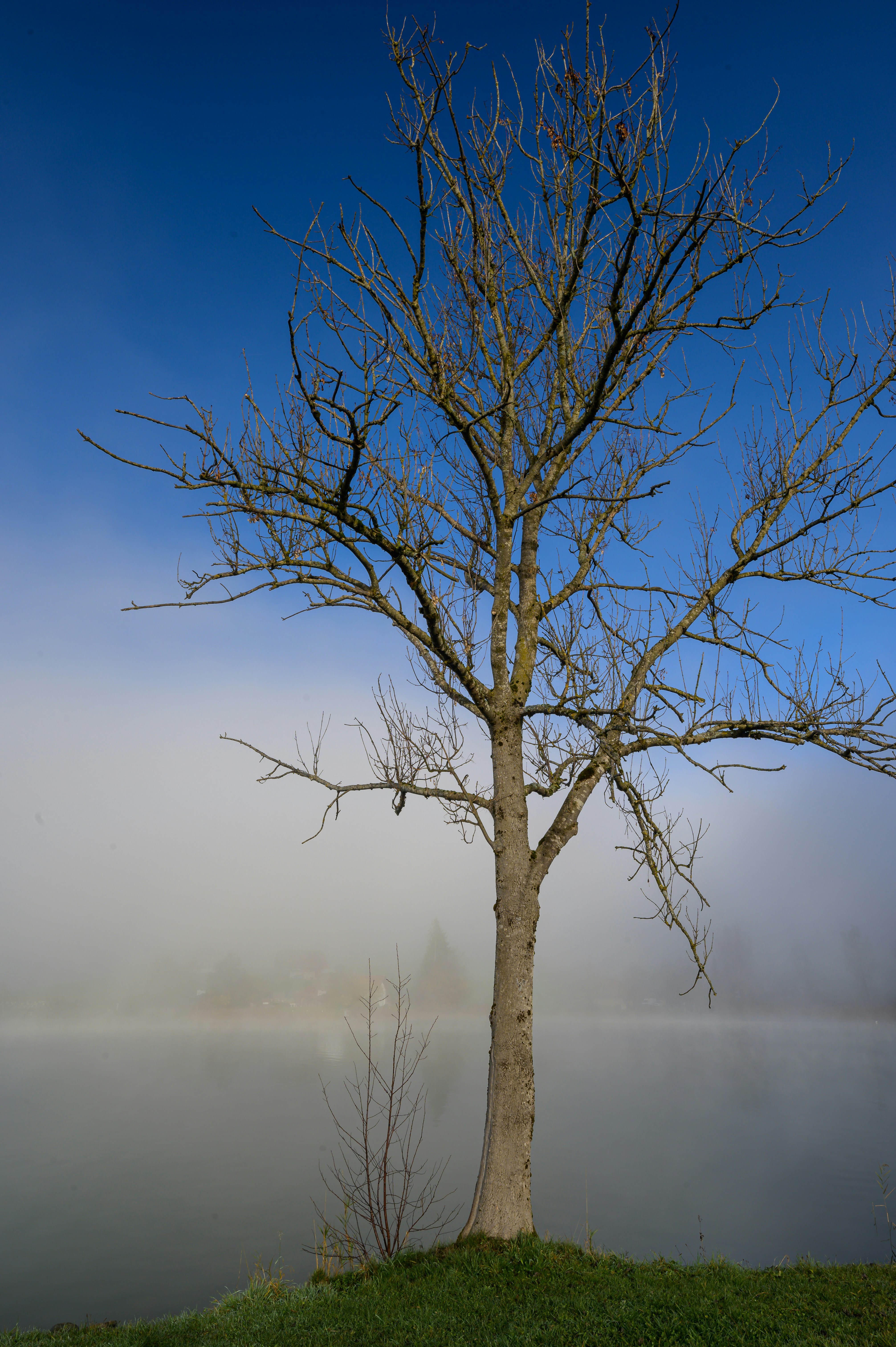 Photo by hans_leuzinger