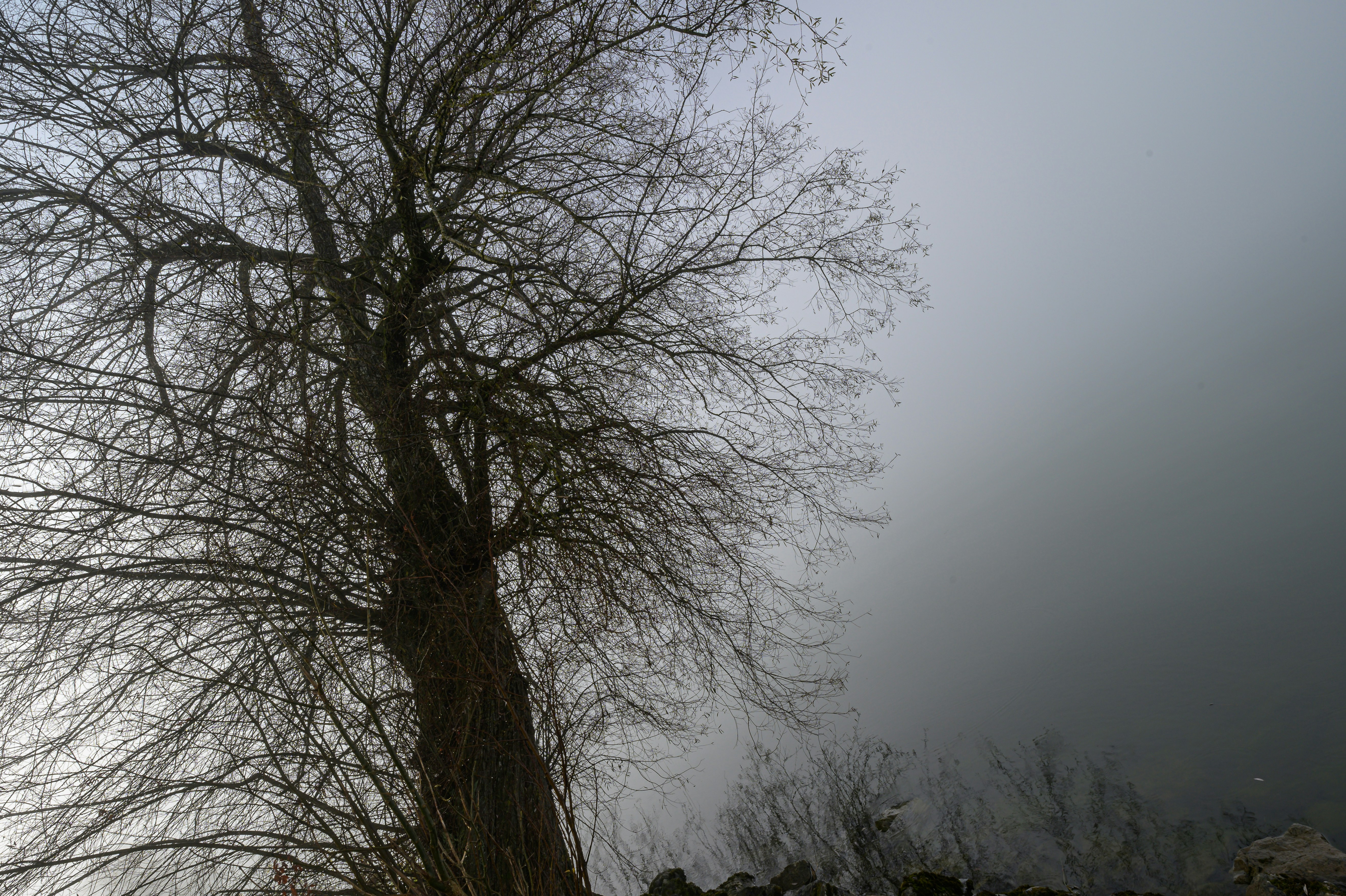 Photo by hans_leuzinger