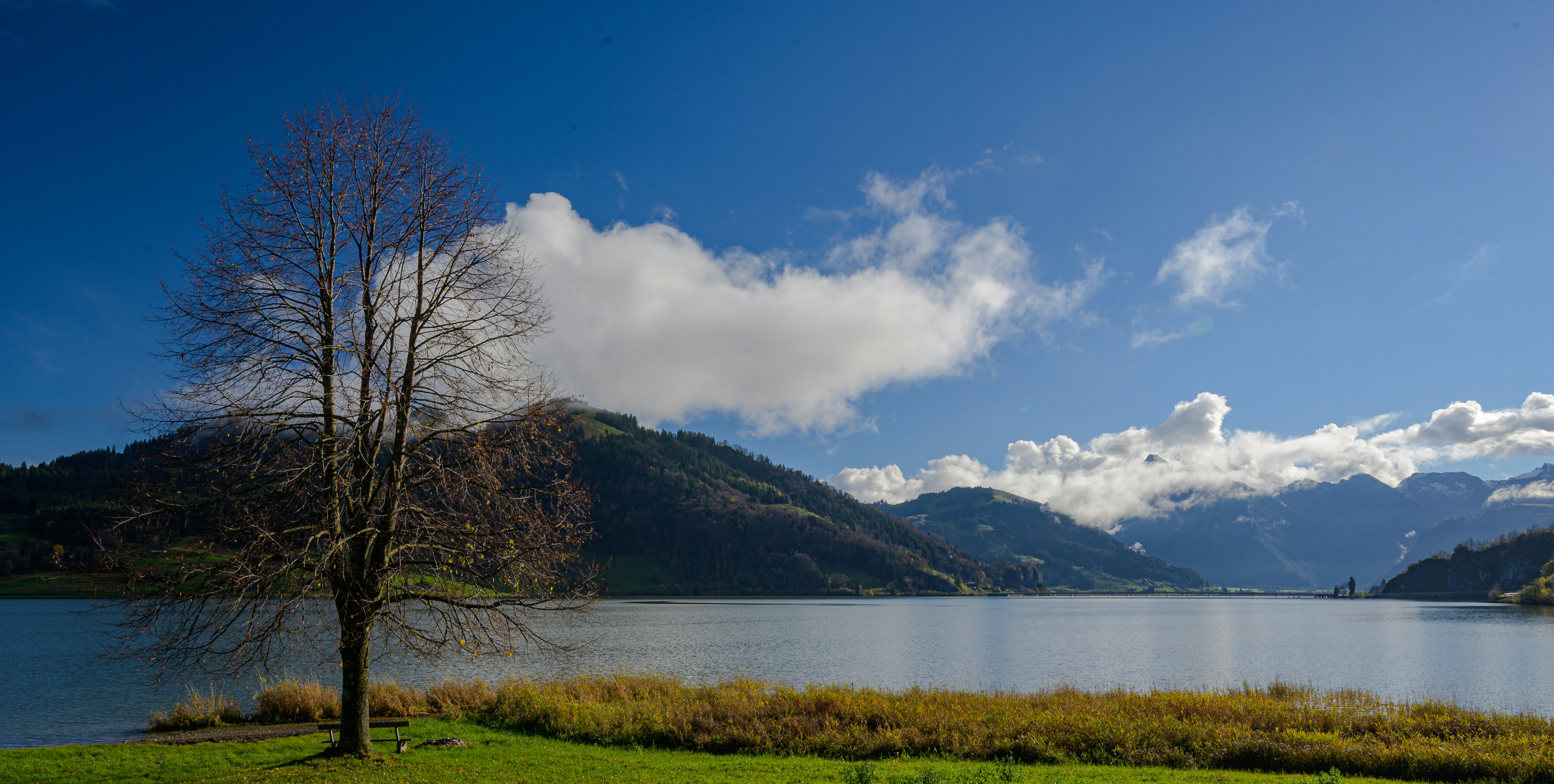 Photo by hans_leuzinger