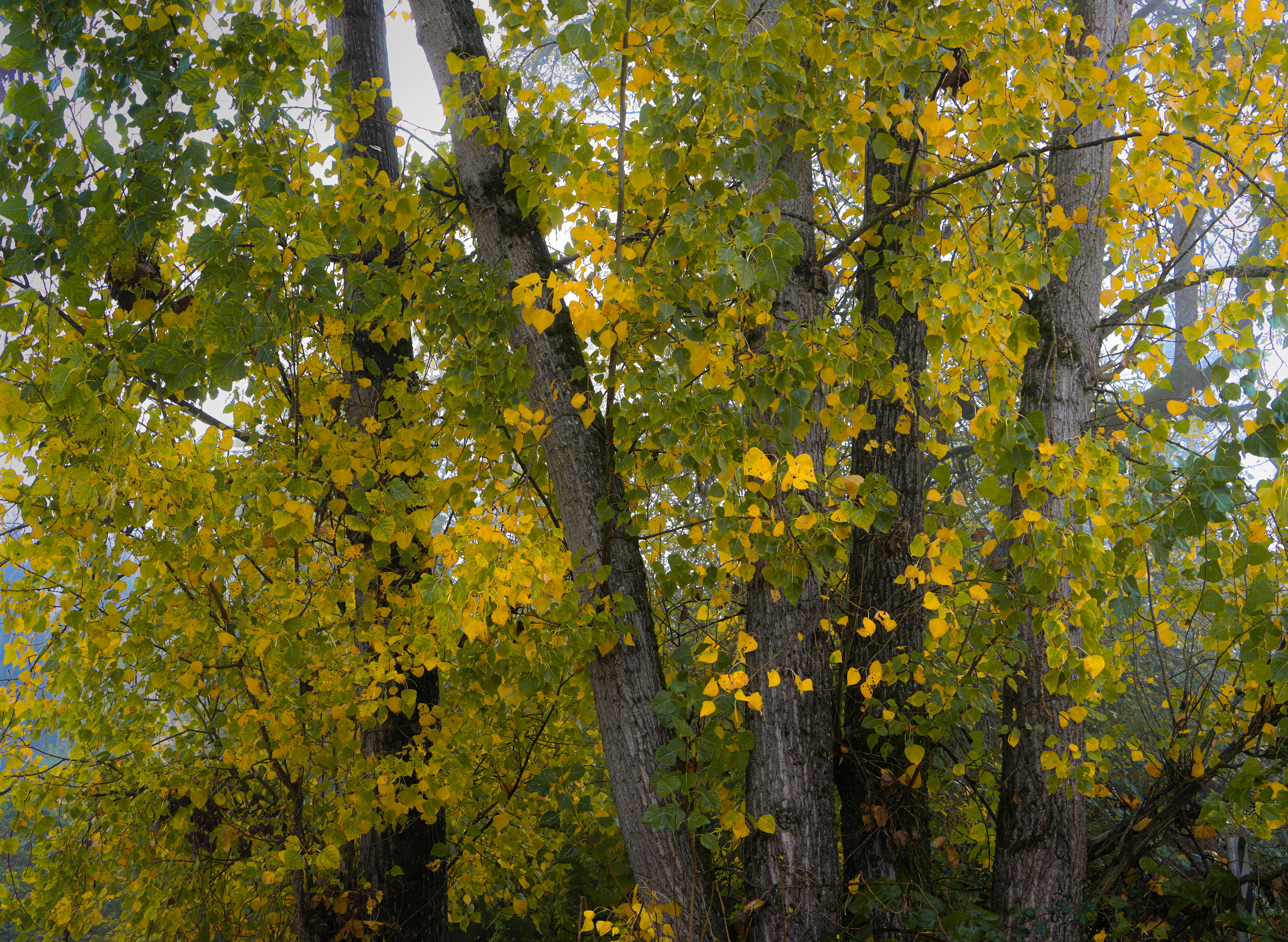 Photo by davidjboozer