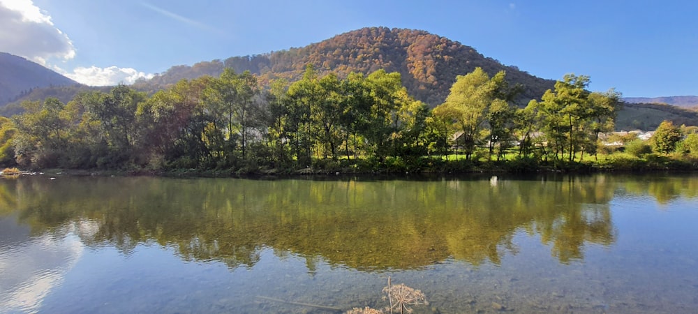 a body of water with trees and mountains in the background