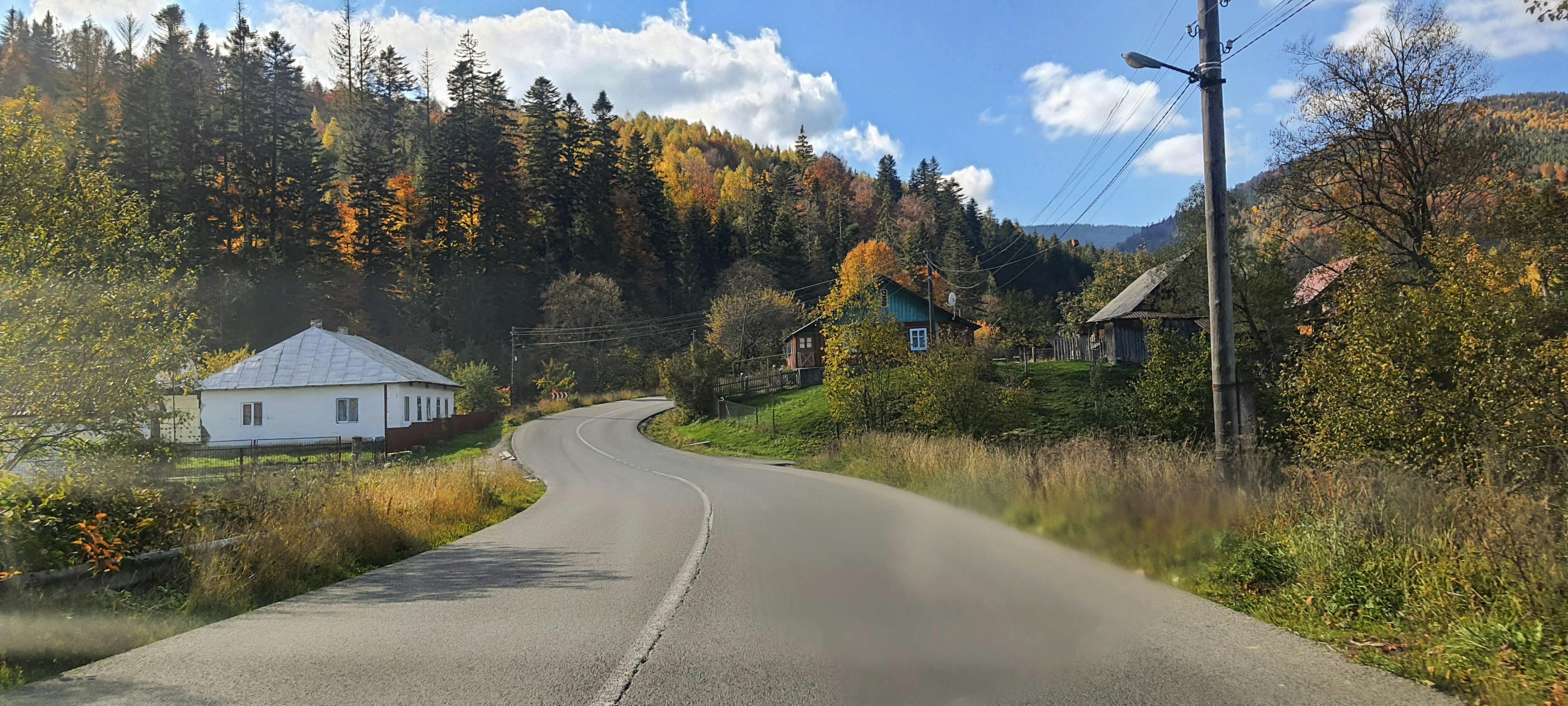 a road with houses along it