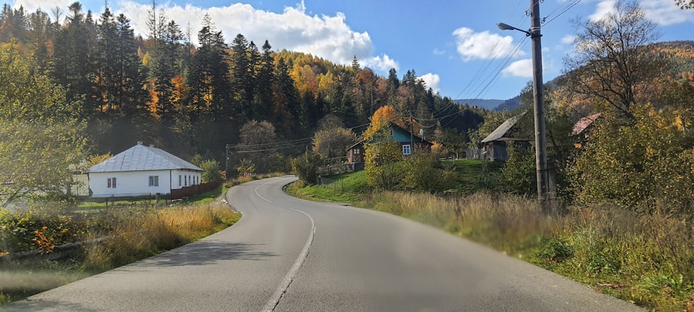 a road with houses along it