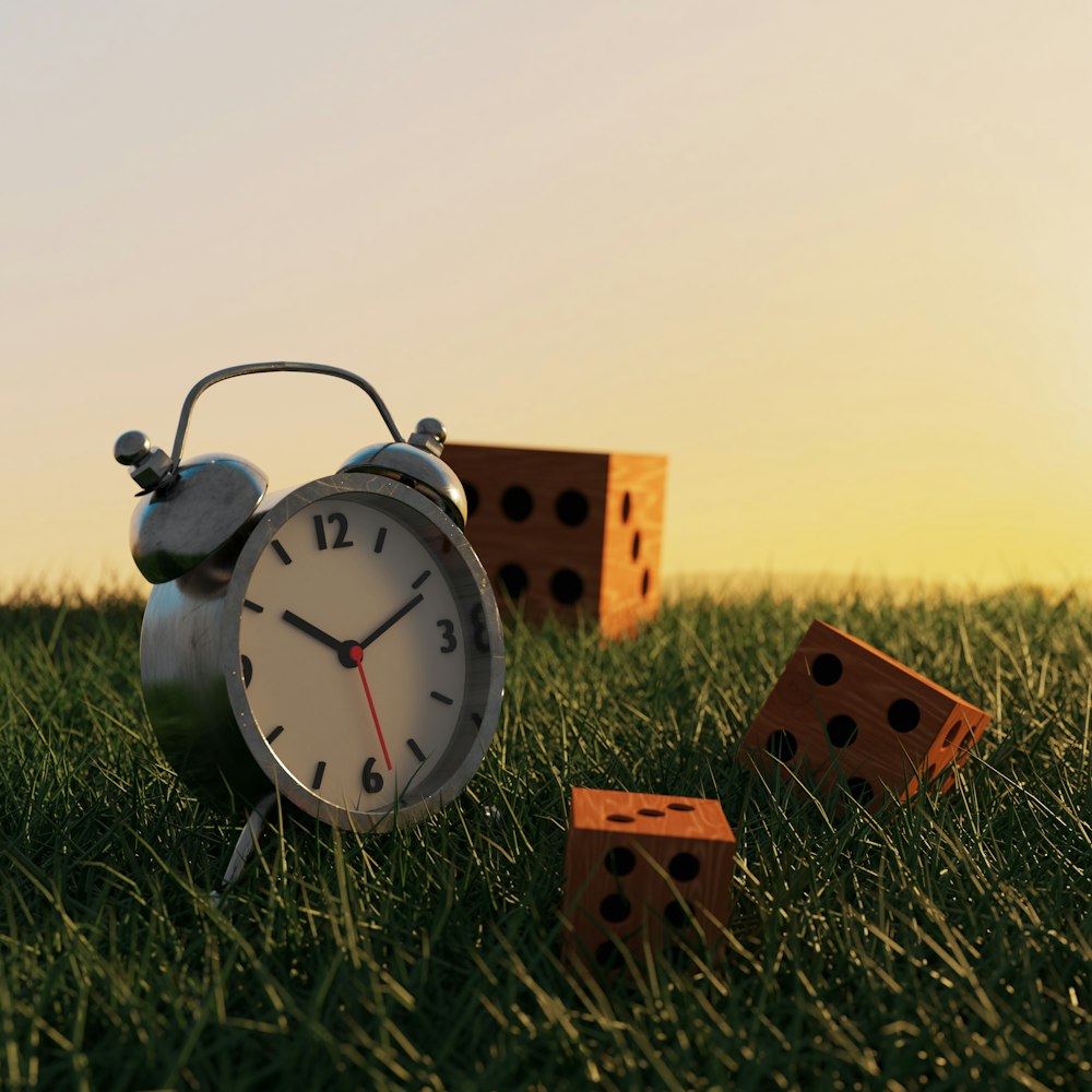 a clock and a watch in a grassy field