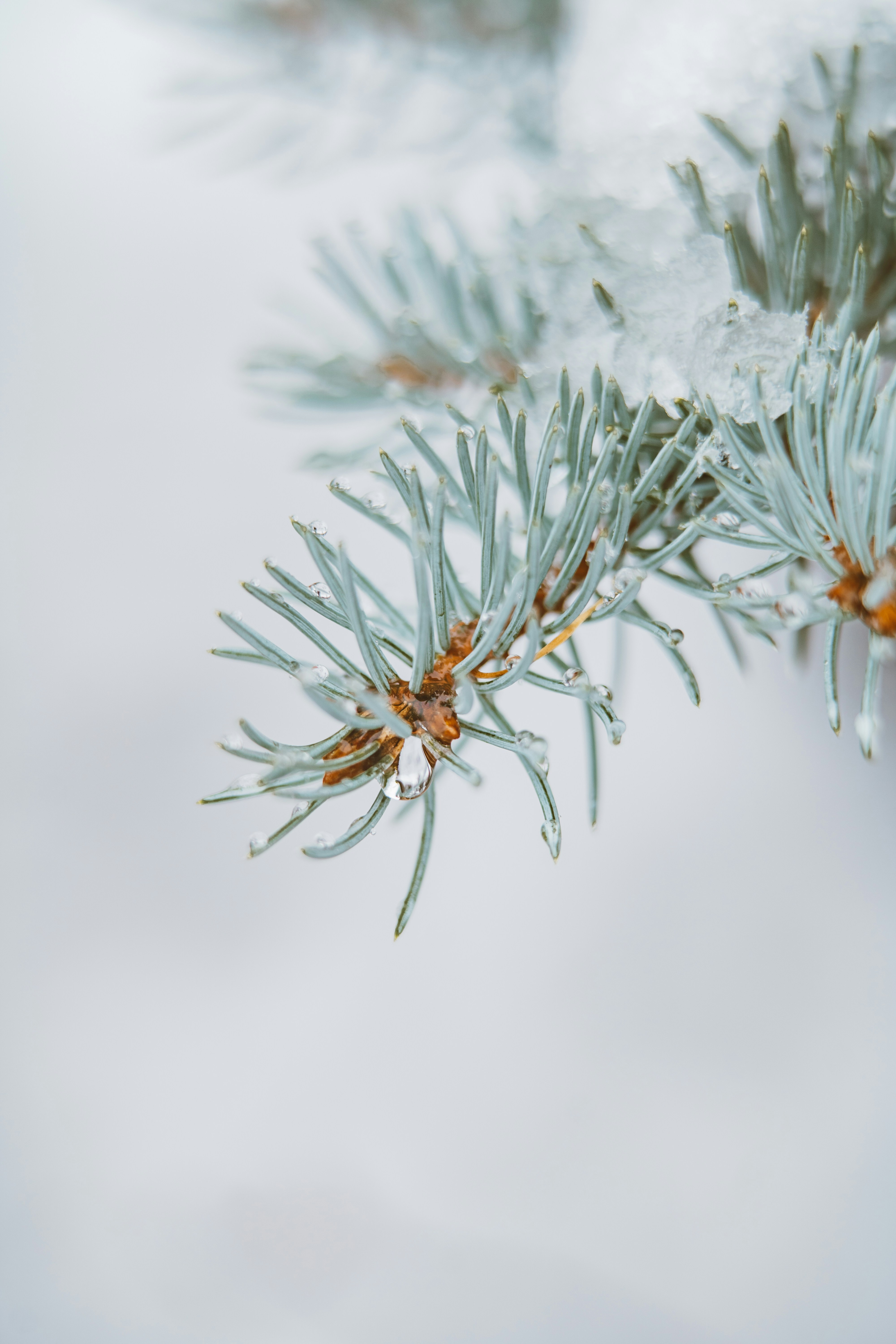 Photo by anamnesis33