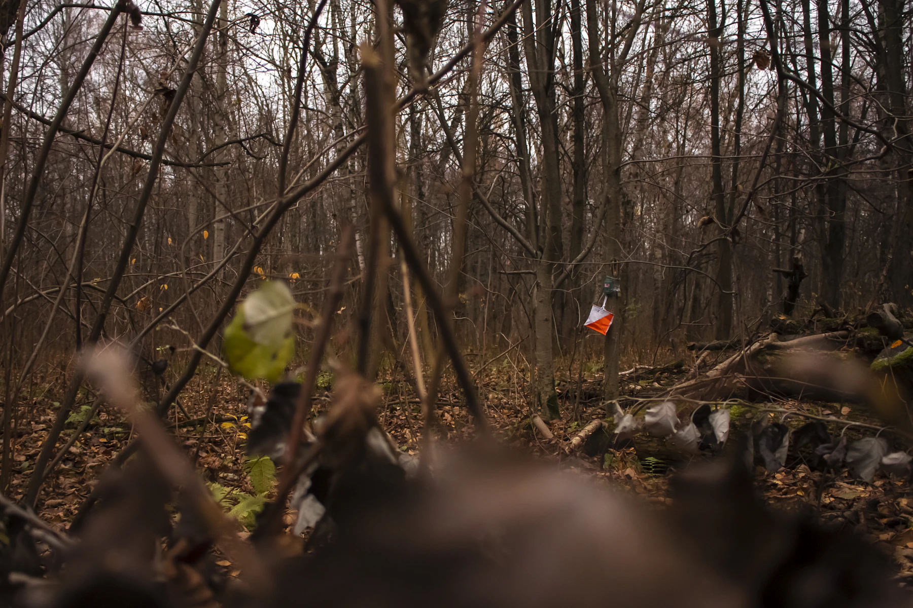 An orange-and-white checkpoint flag hung in bare winter woods