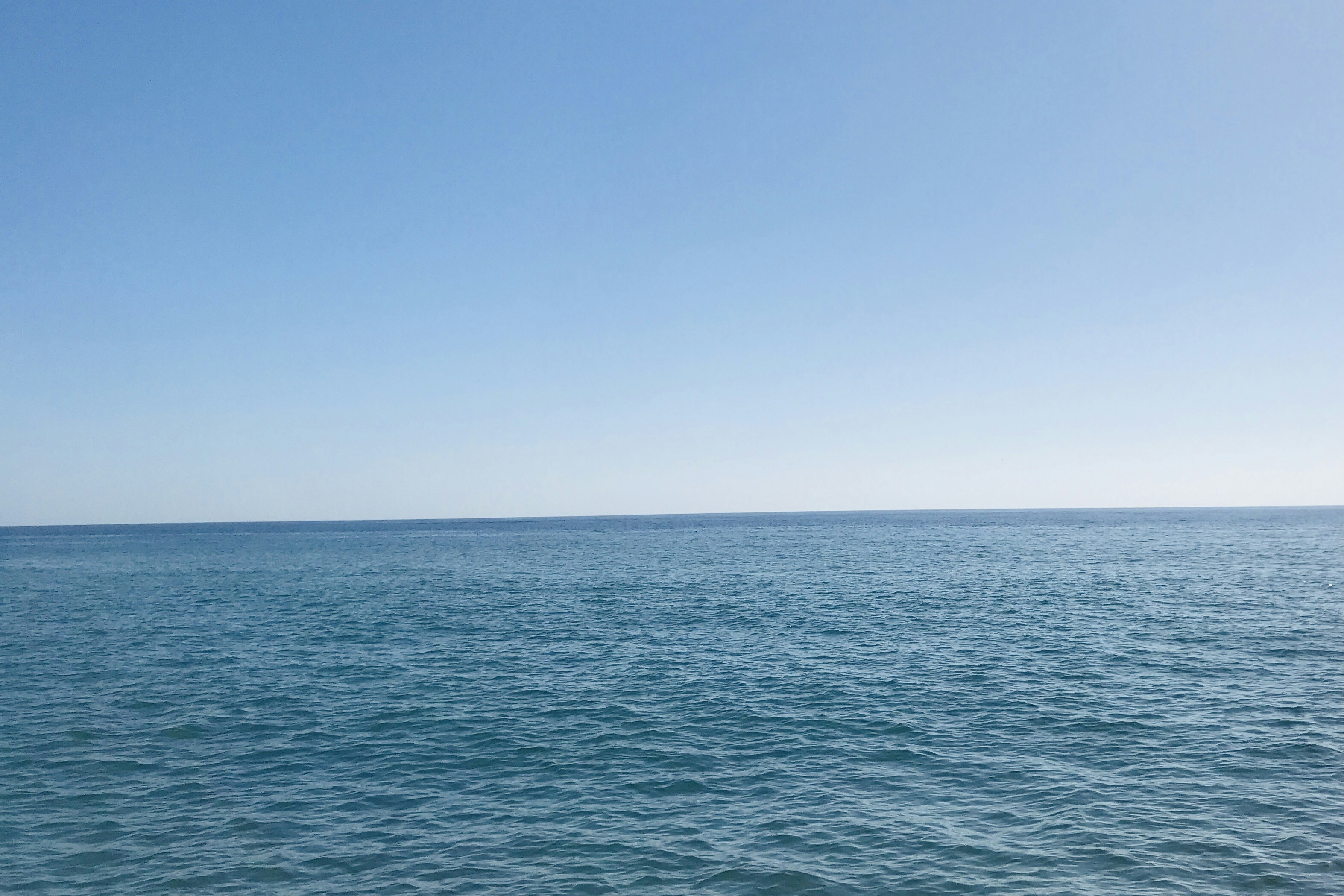 Photo by art_pilgrim