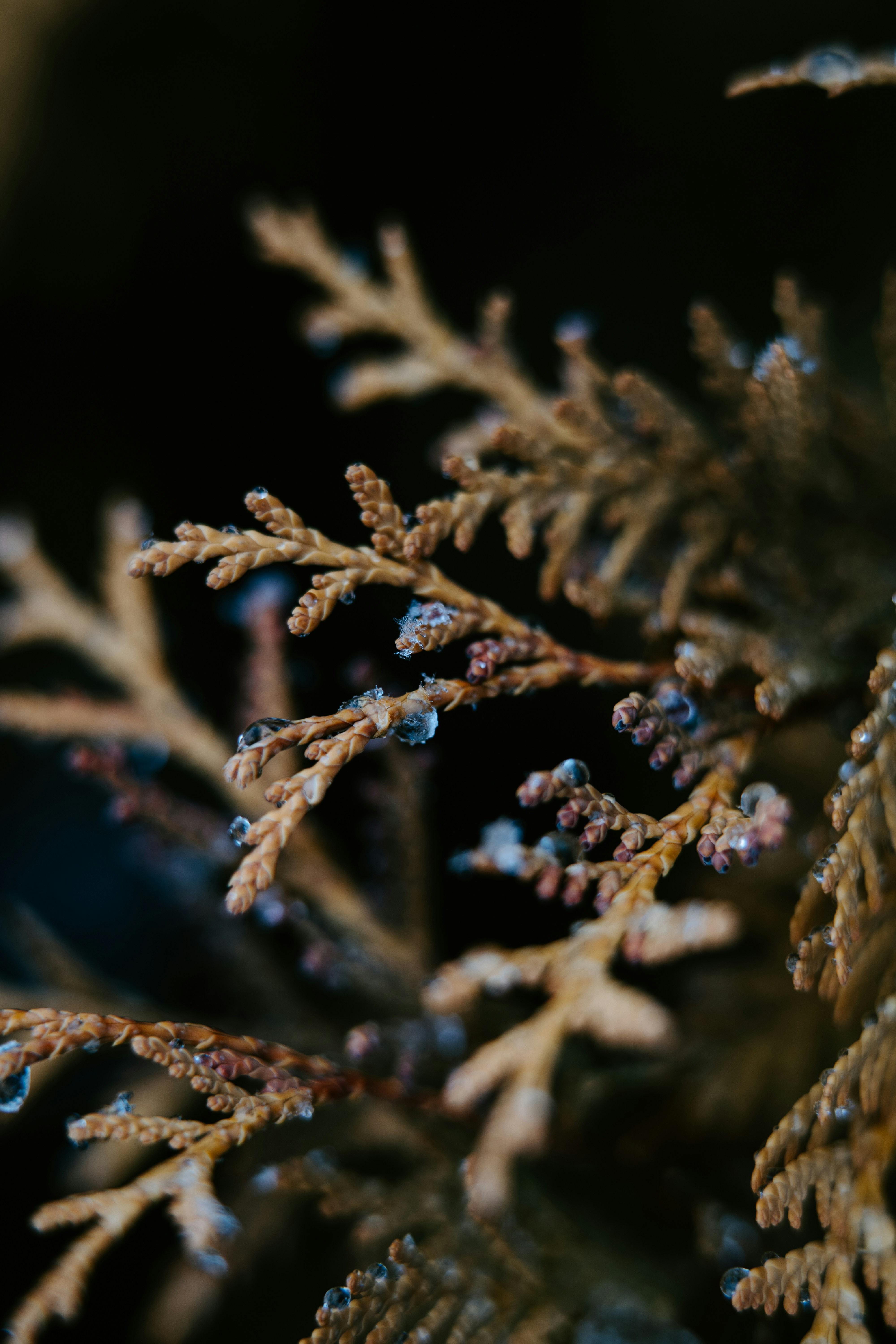 Photo by anamnesis33