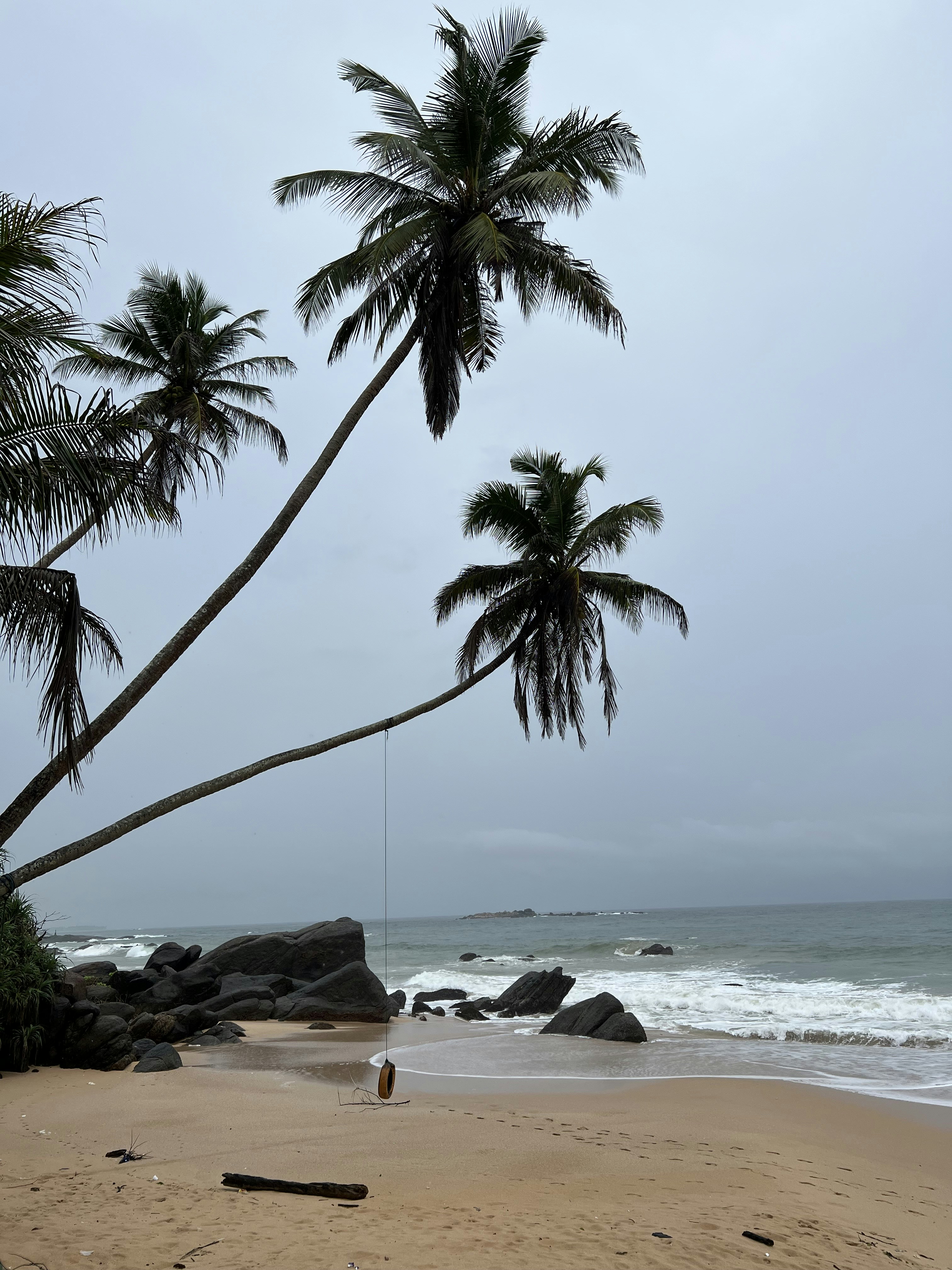 a beach with palm trees and water