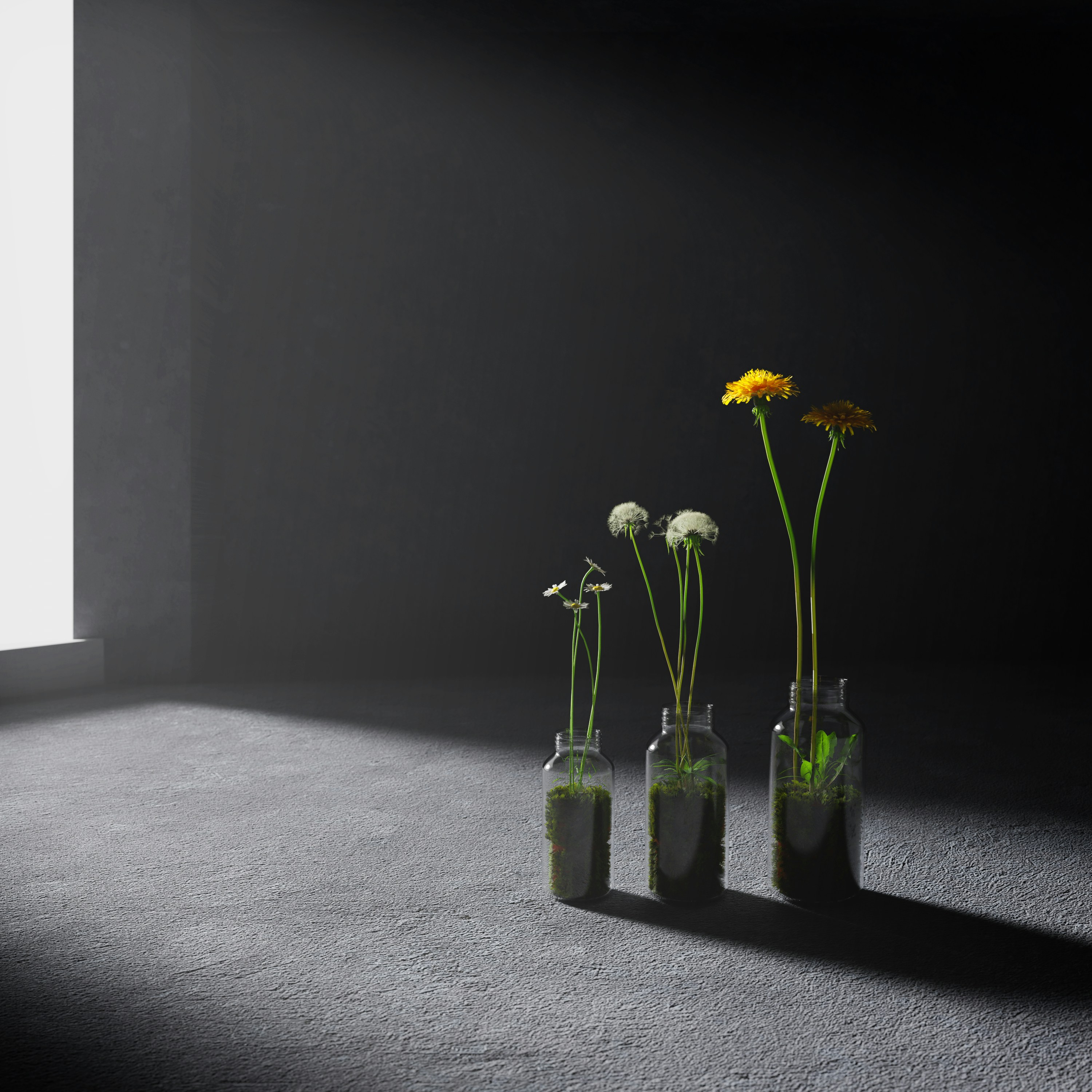 a group of flowers in vases