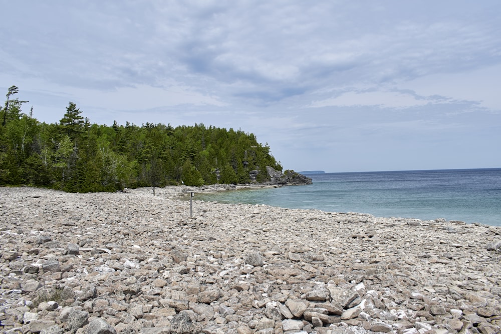 a rocky beach with trees and water