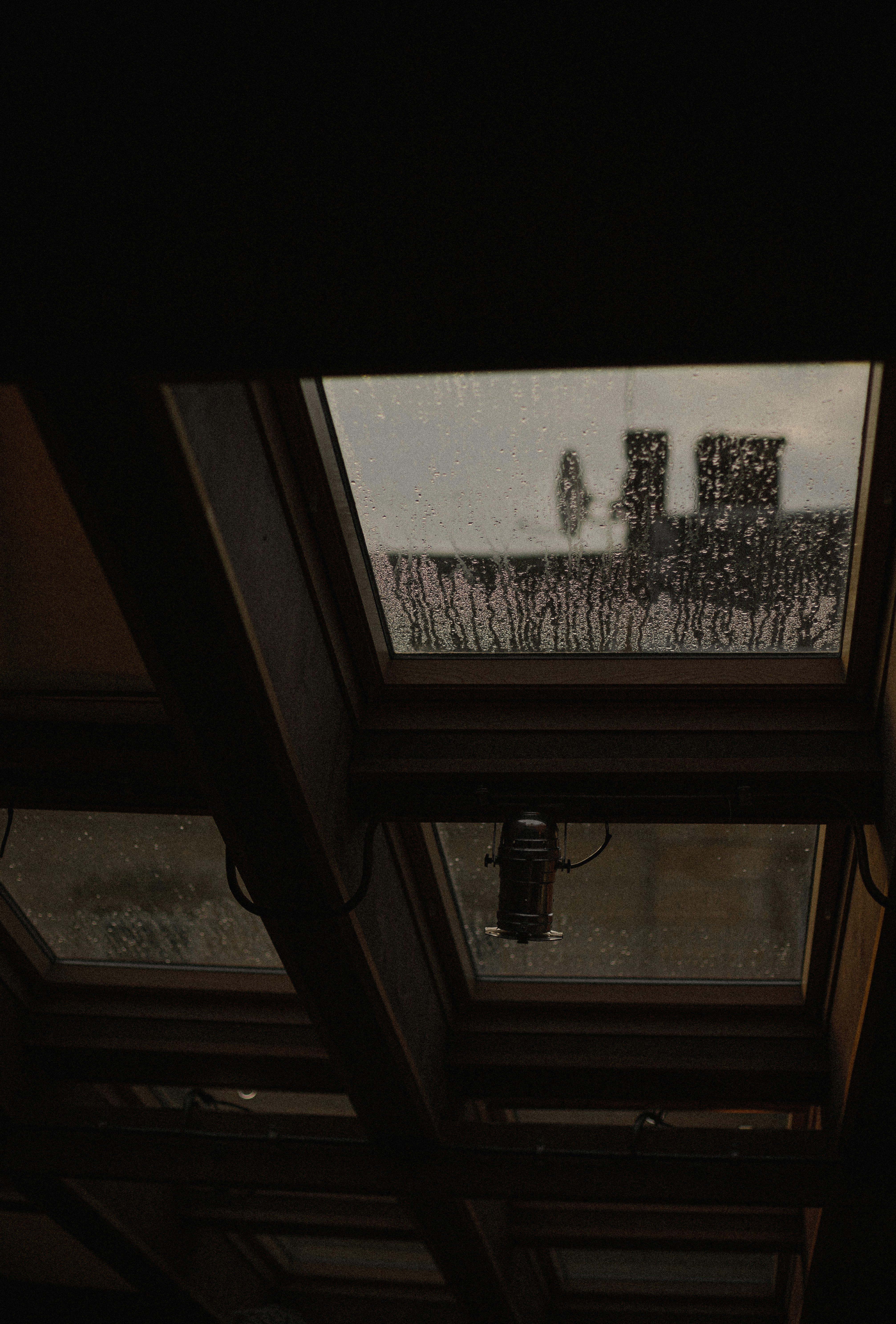 Photo by mykhailokopyt