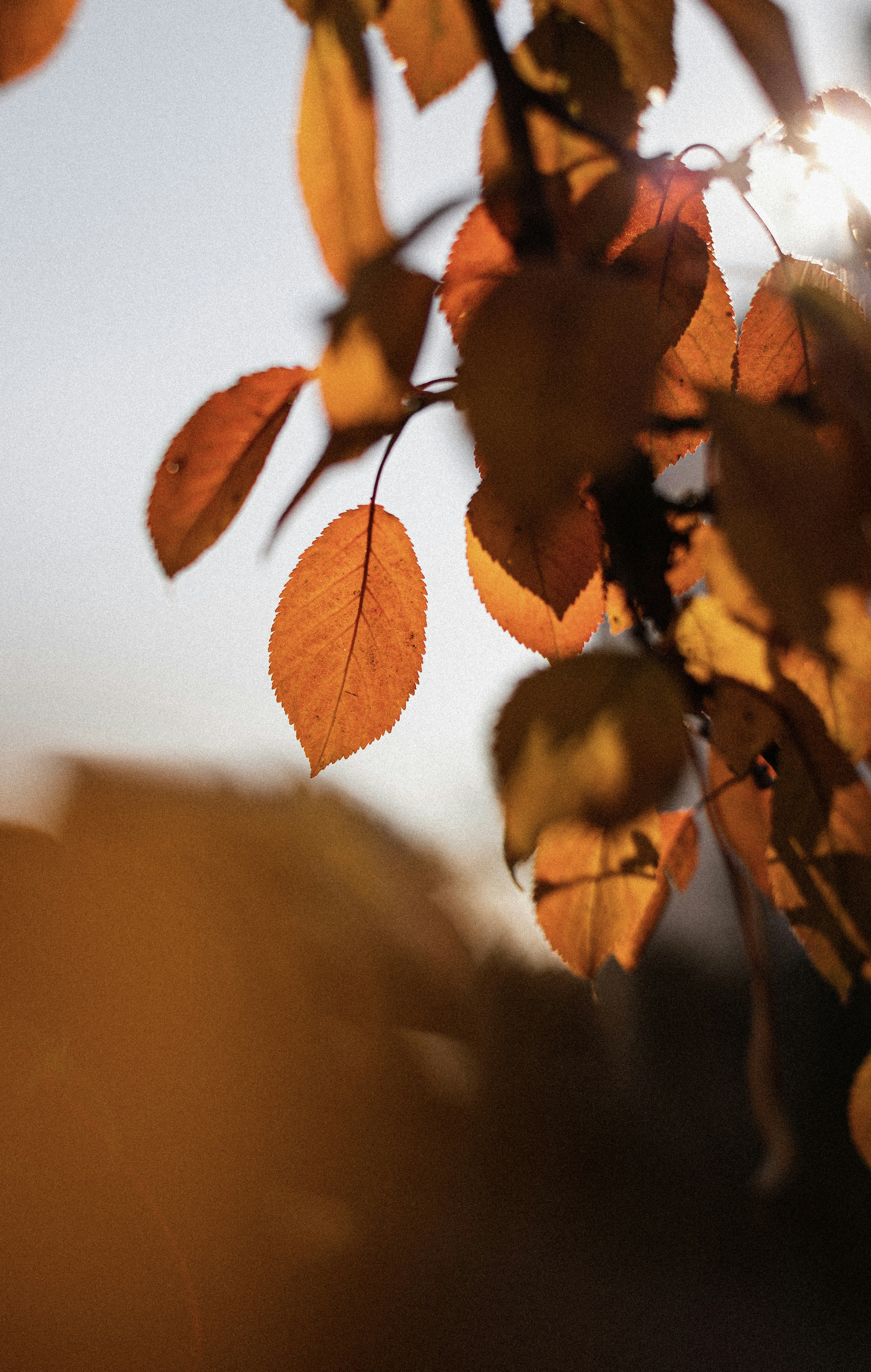 Photo by mykhailokopyt