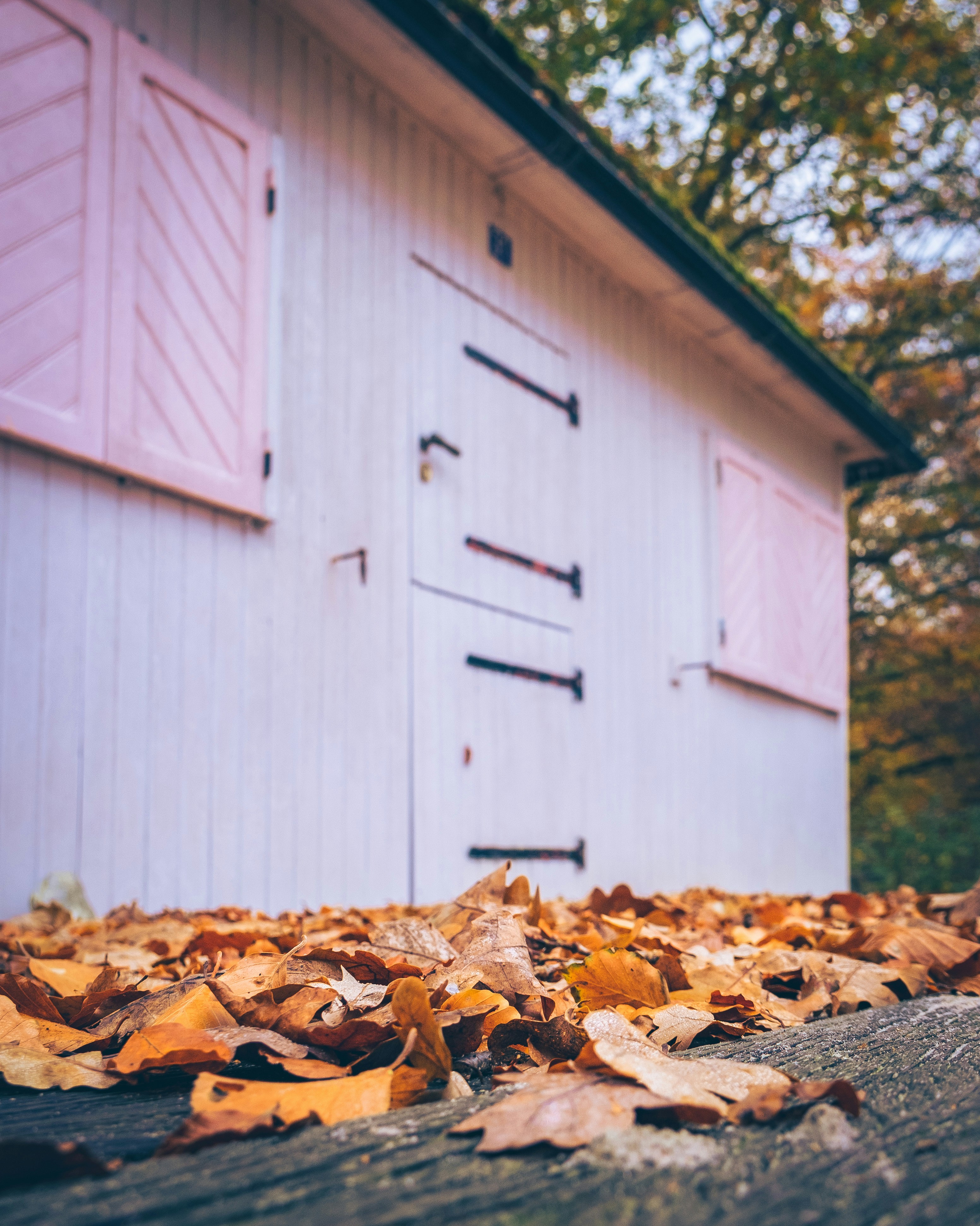 Photo by michaelheld