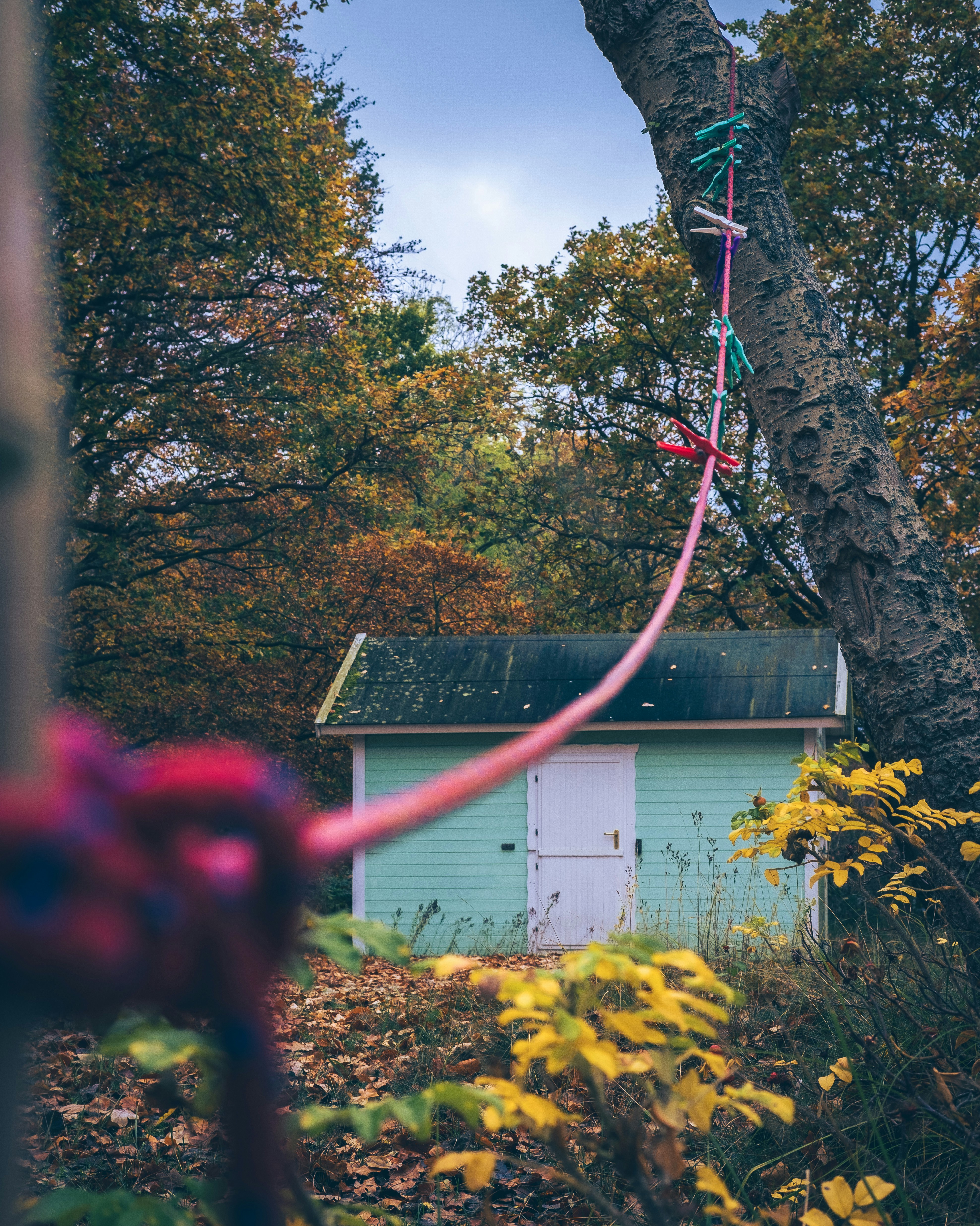 Garden Shed