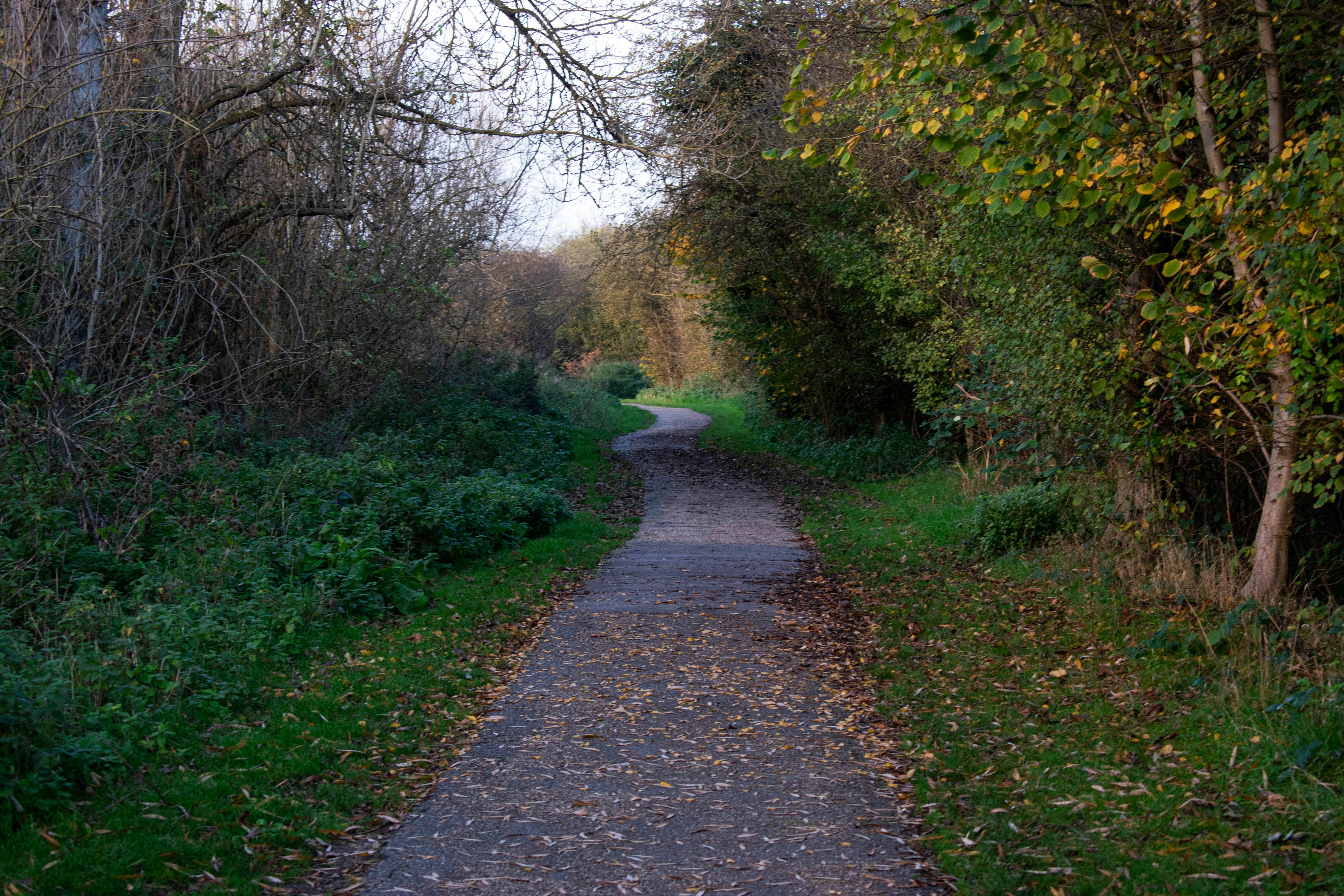 Photo by infinitecreations21