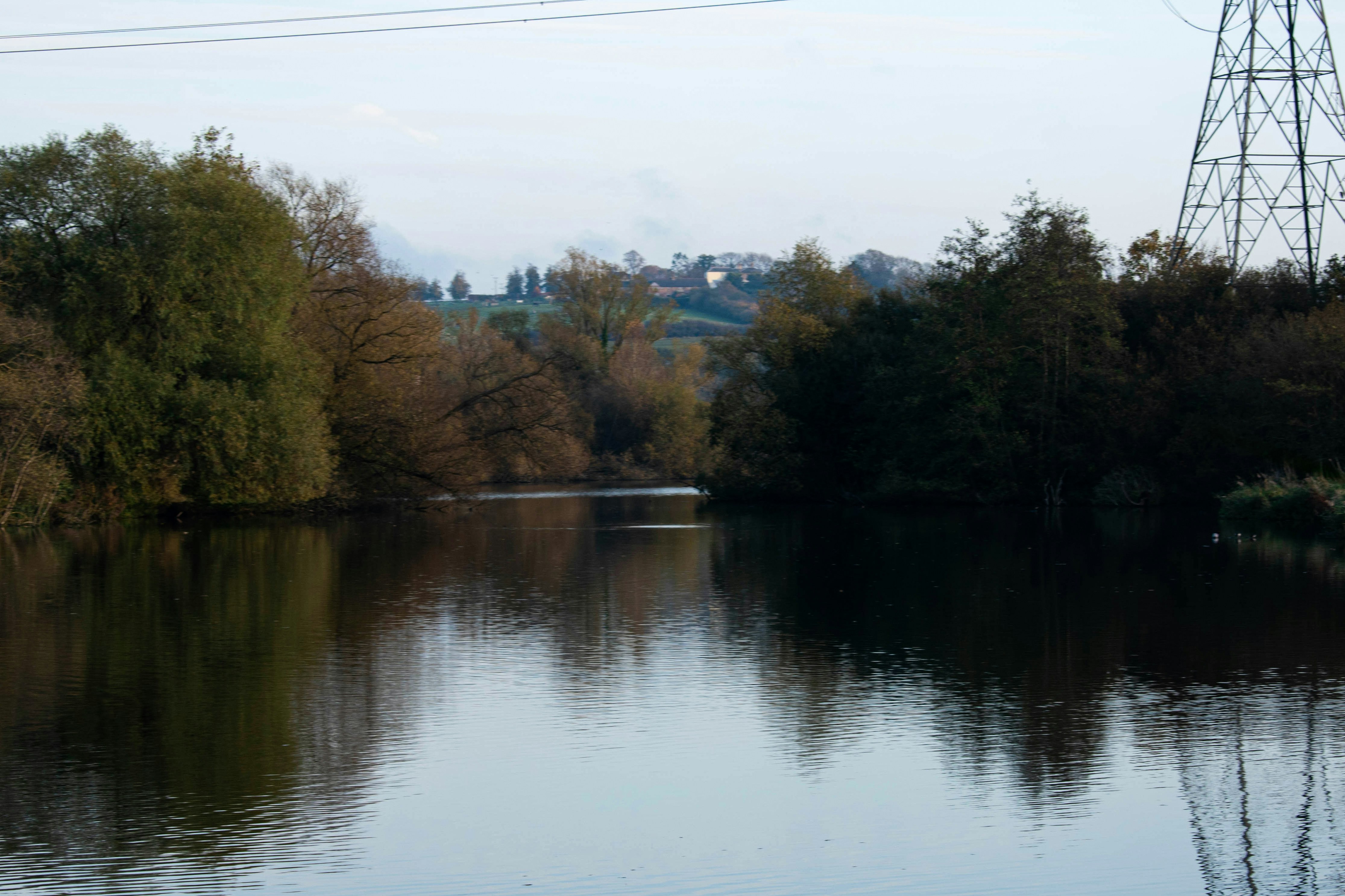a body of water with trees around it