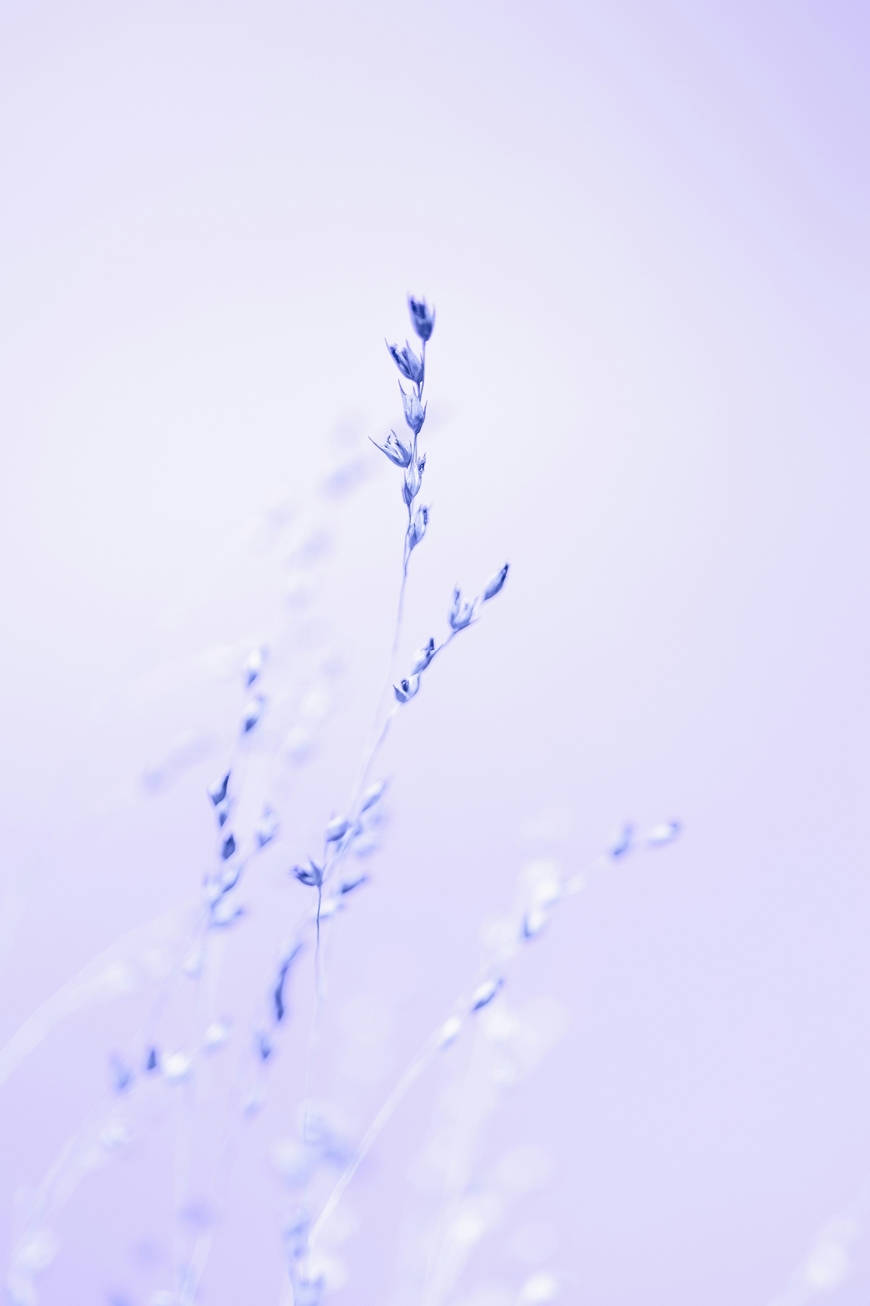 Photo by marekpiwnicki