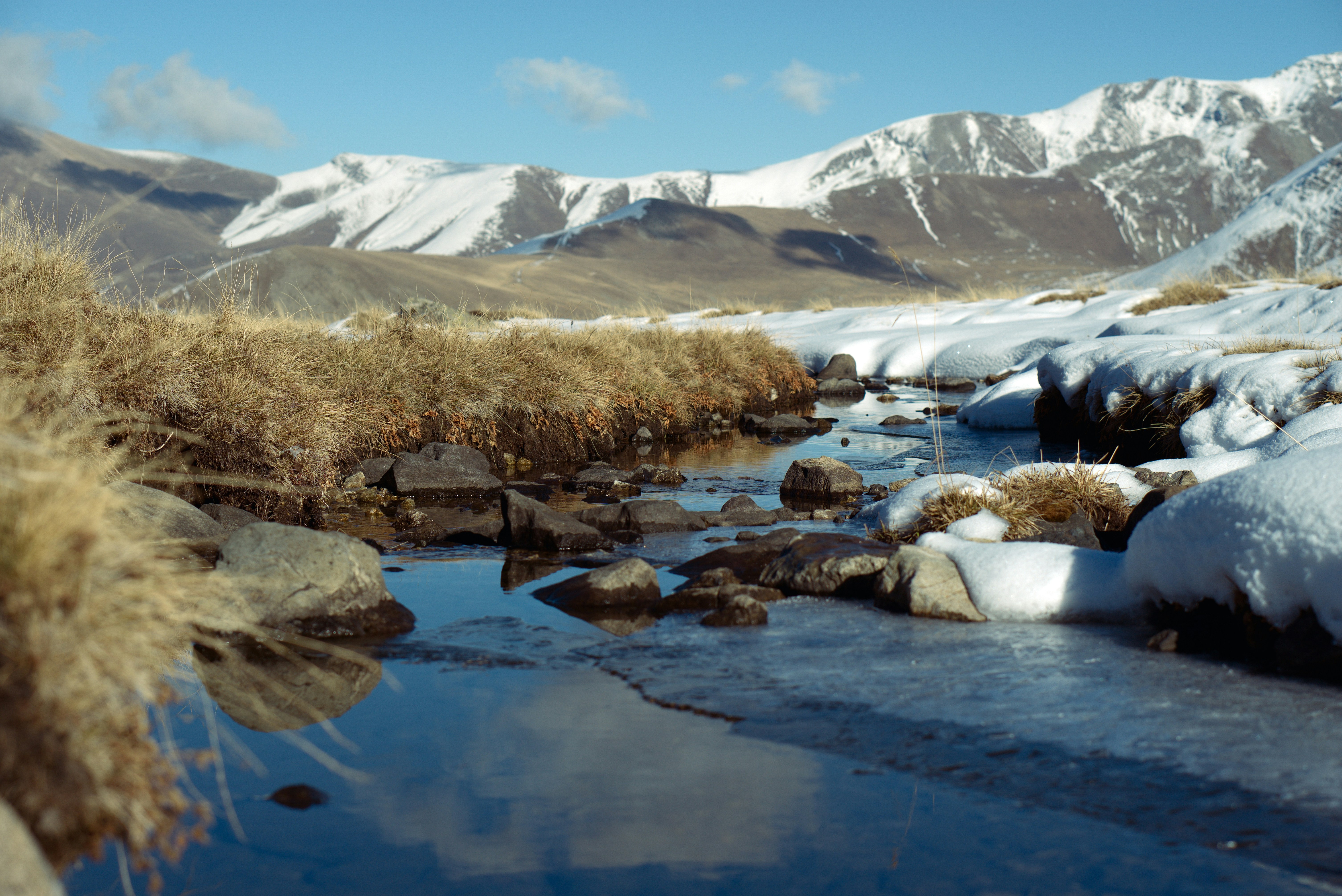 Photo by astashov_artem