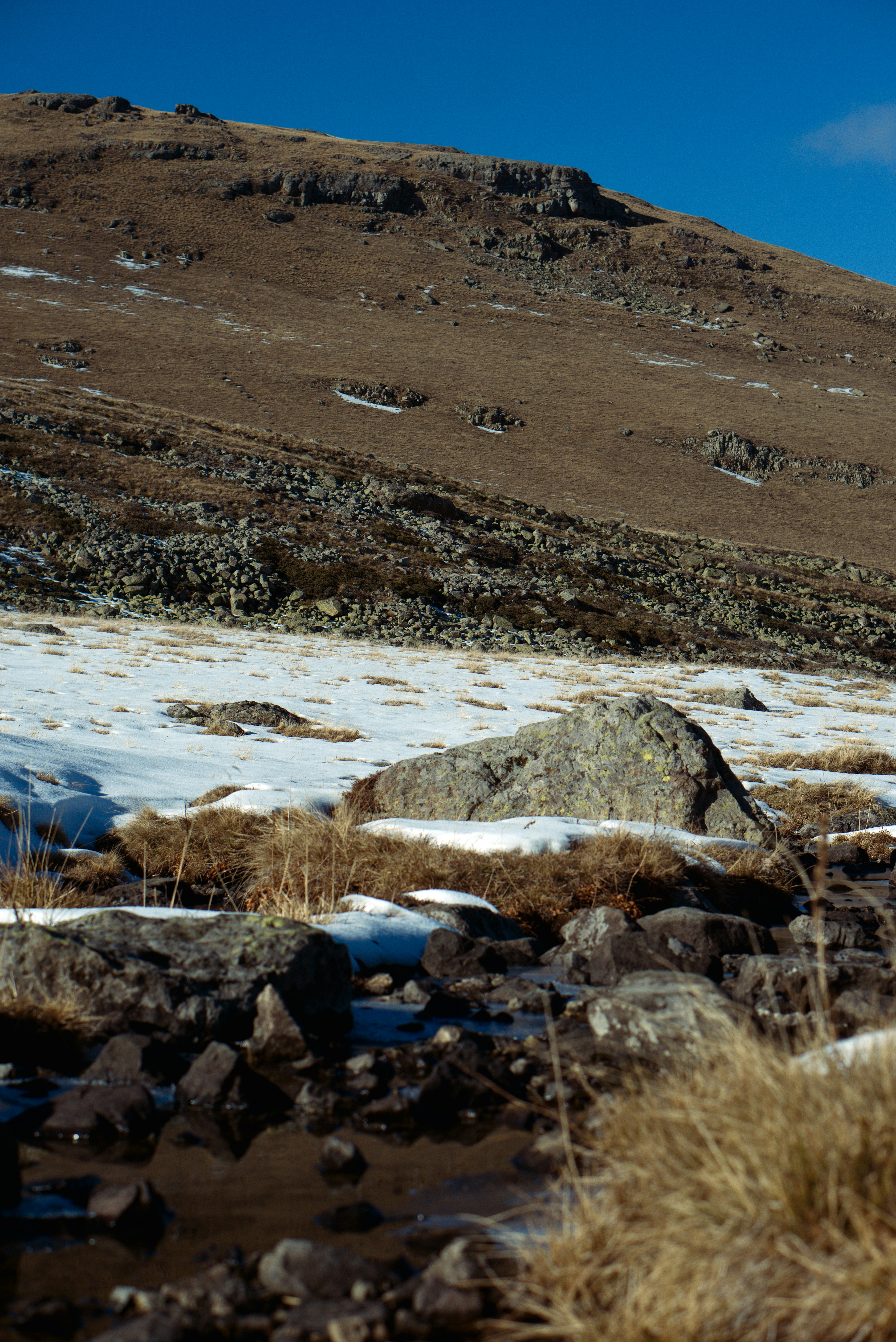 Photo by astashov_artem