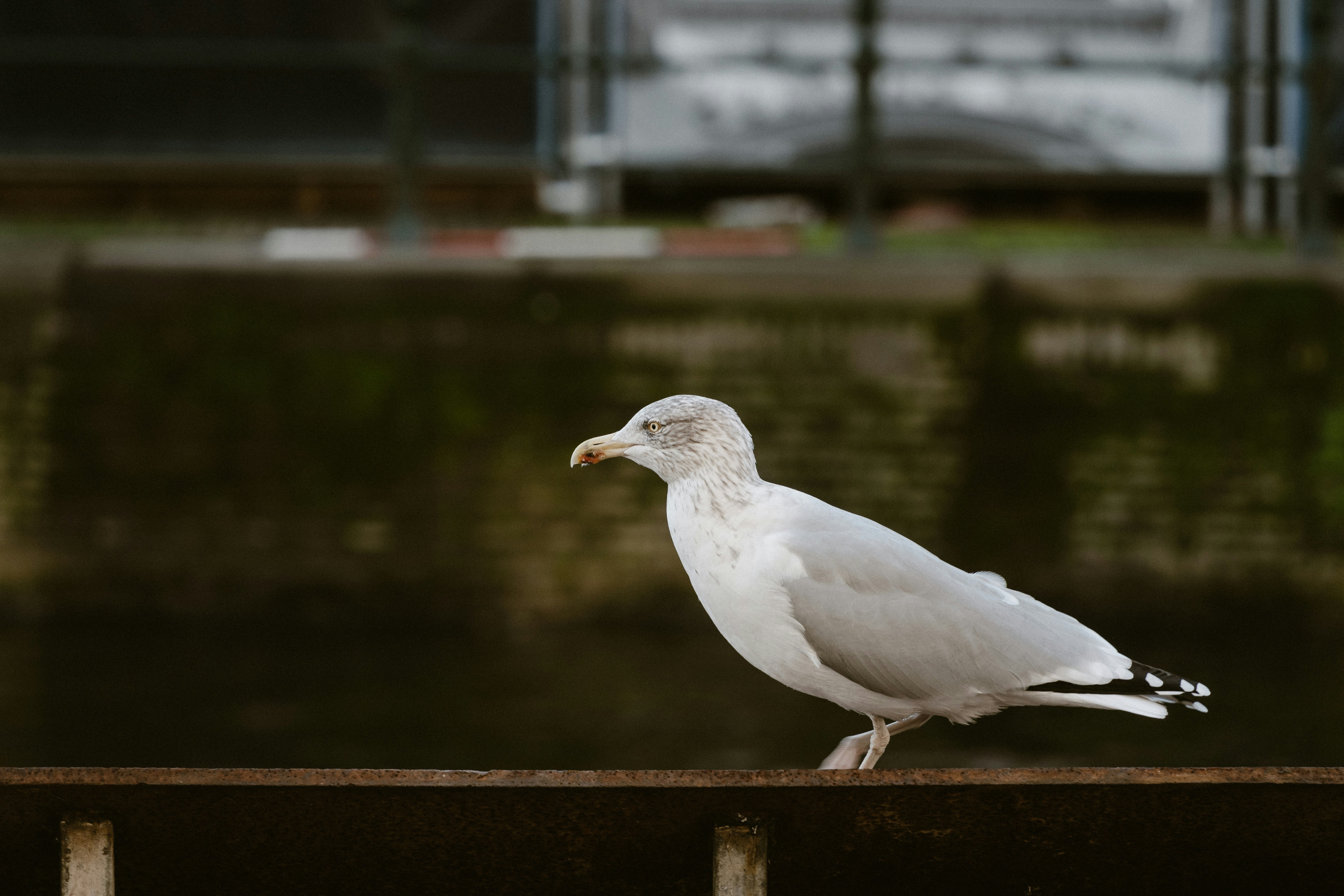 Photo by __evanyang__