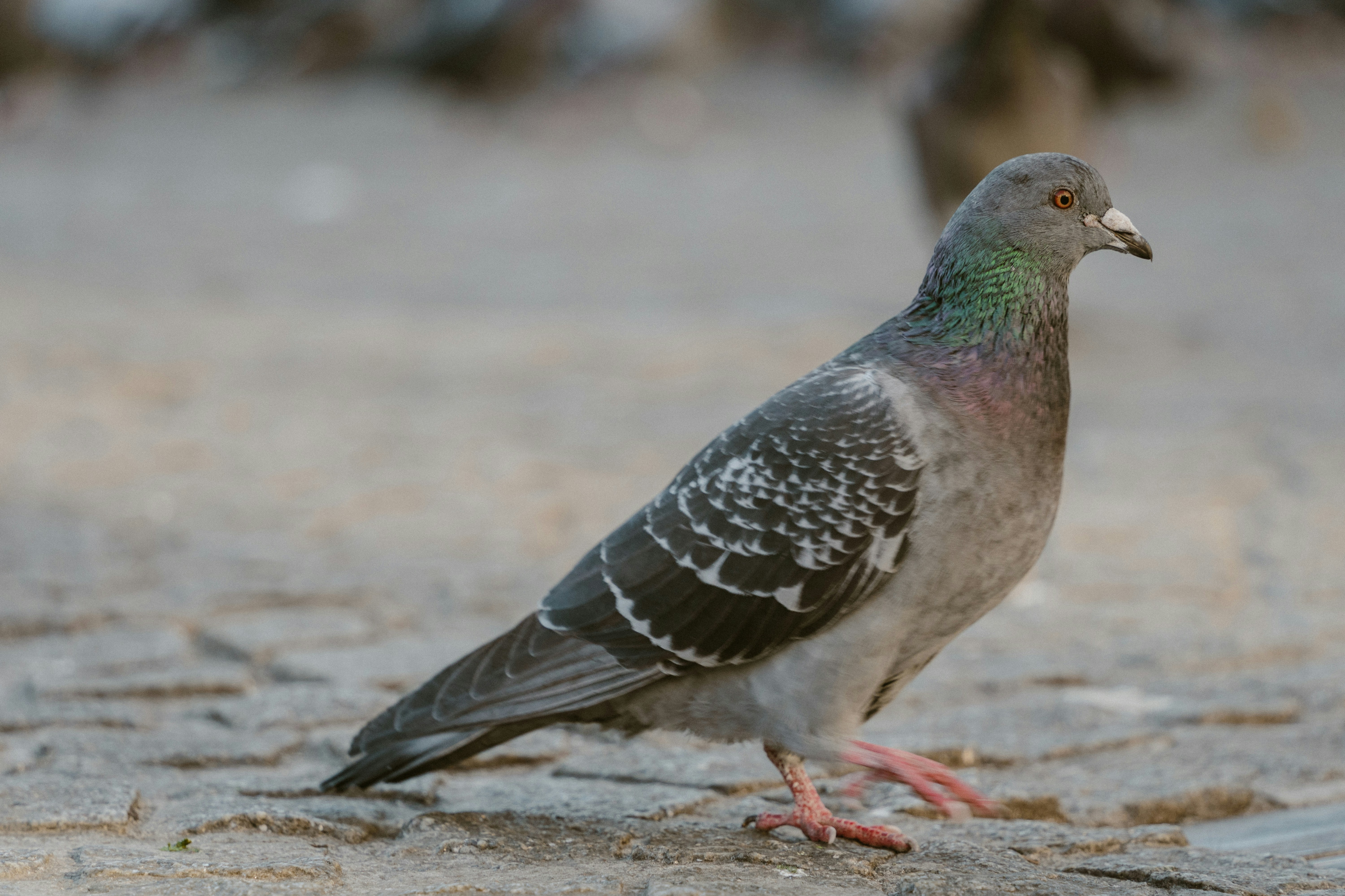 Photo by __evanyang__