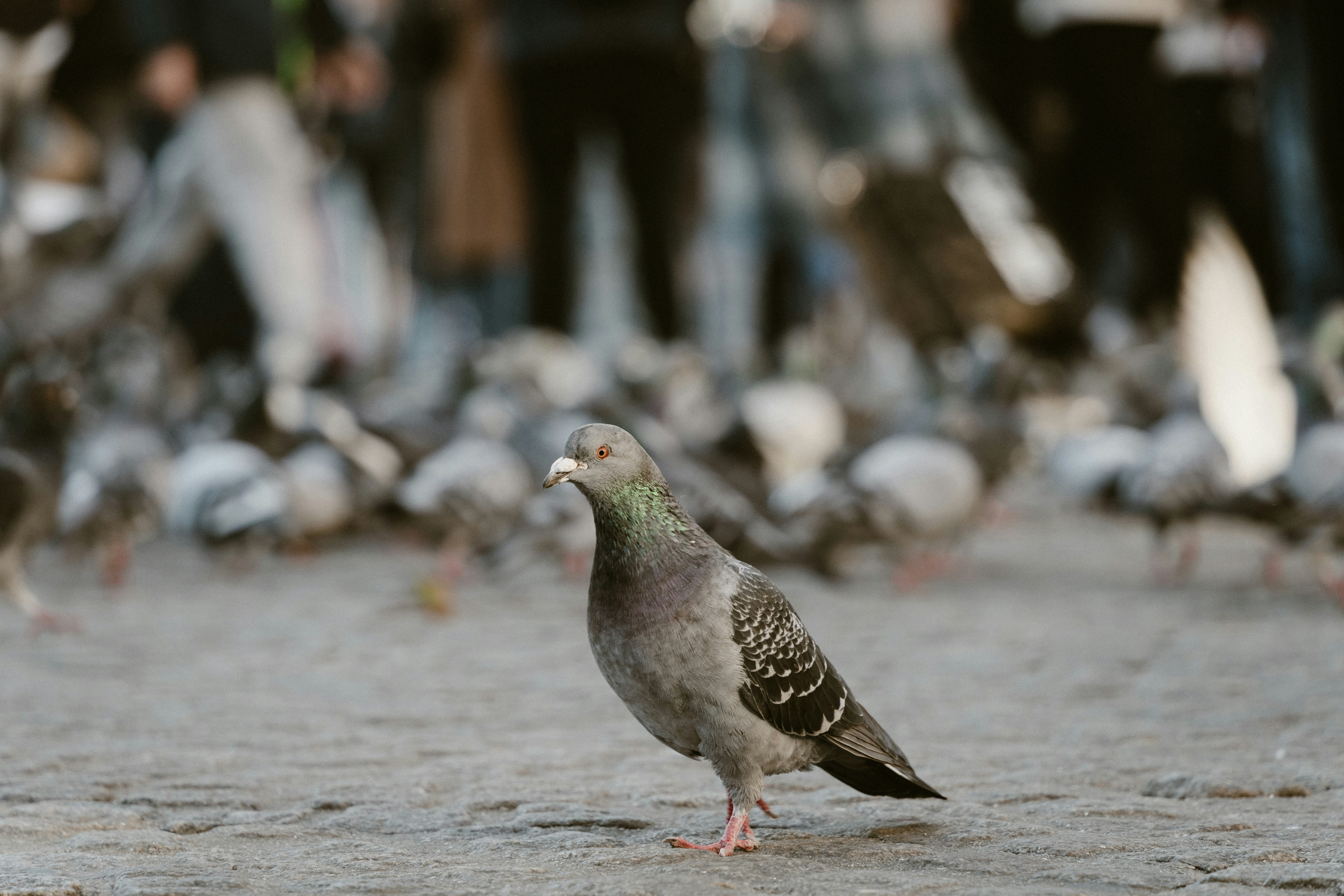 Photo by __evanyang__