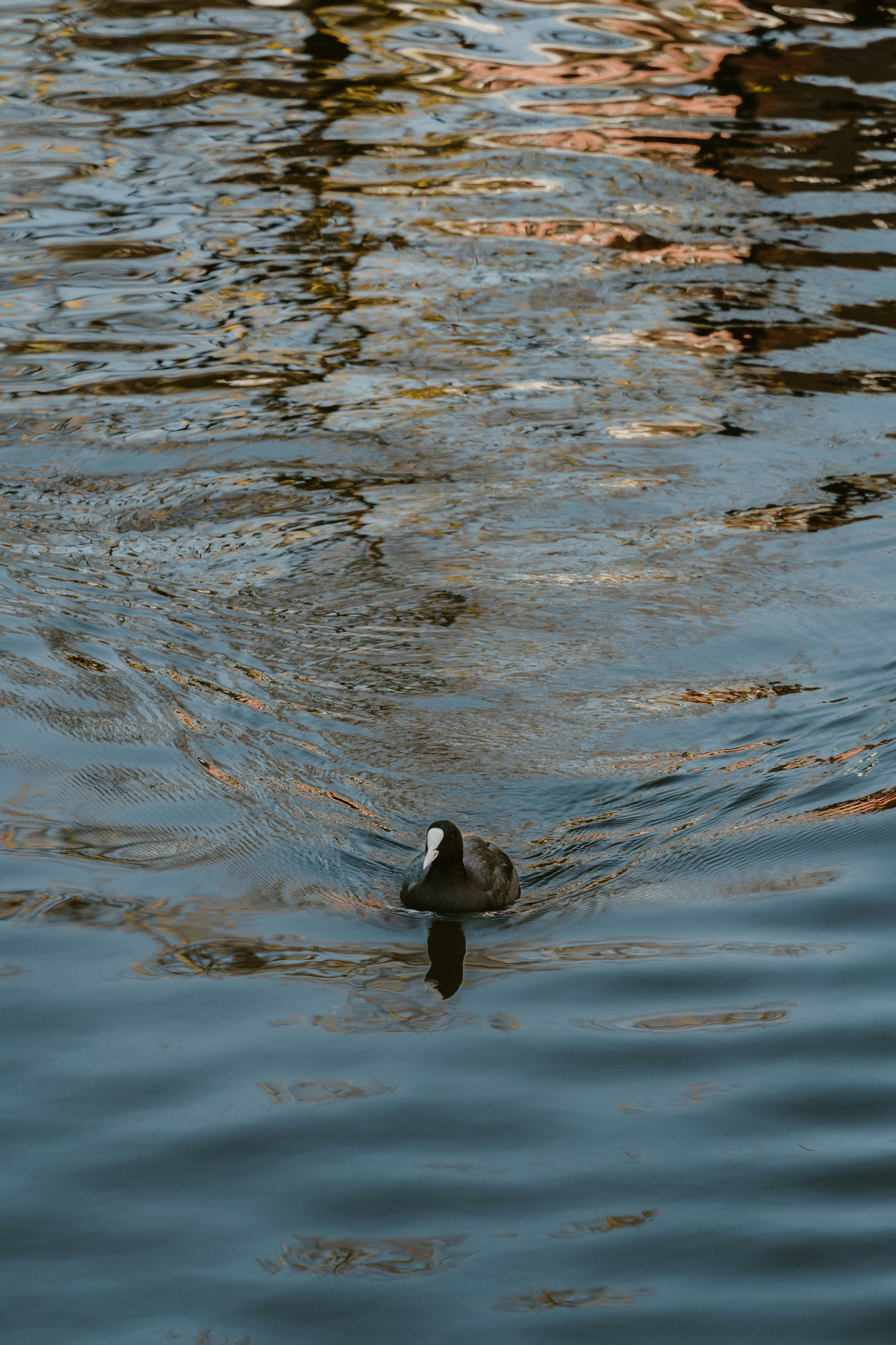 Photo by __evanyang__