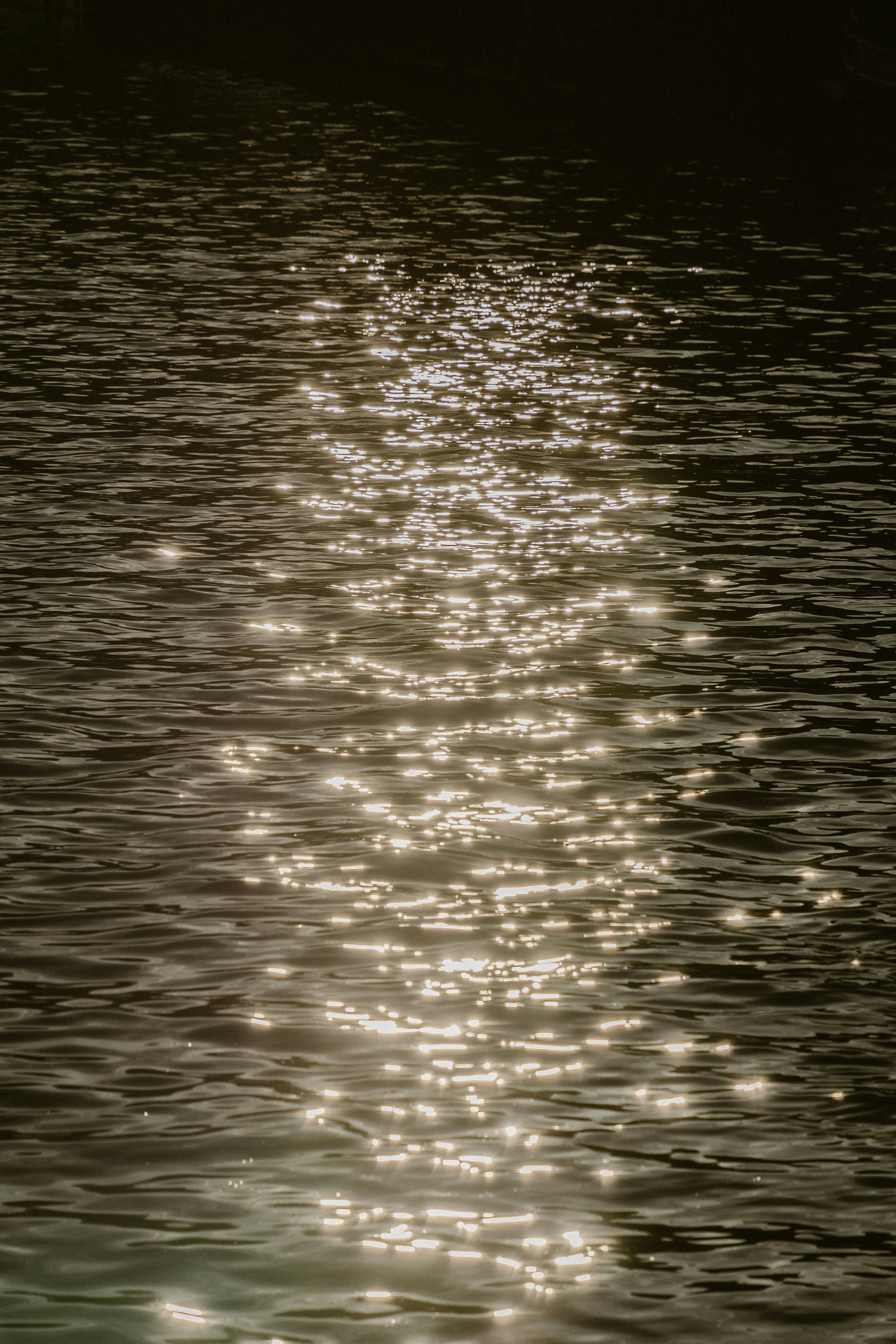 Photo by __evanyang__